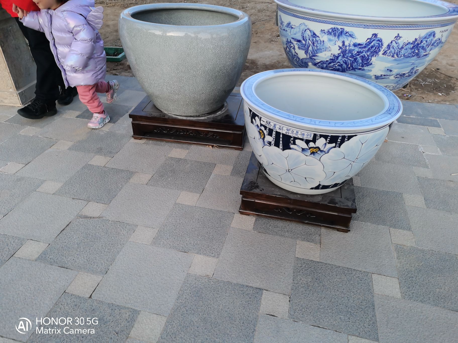 蓝港观鱼旅行图片 2