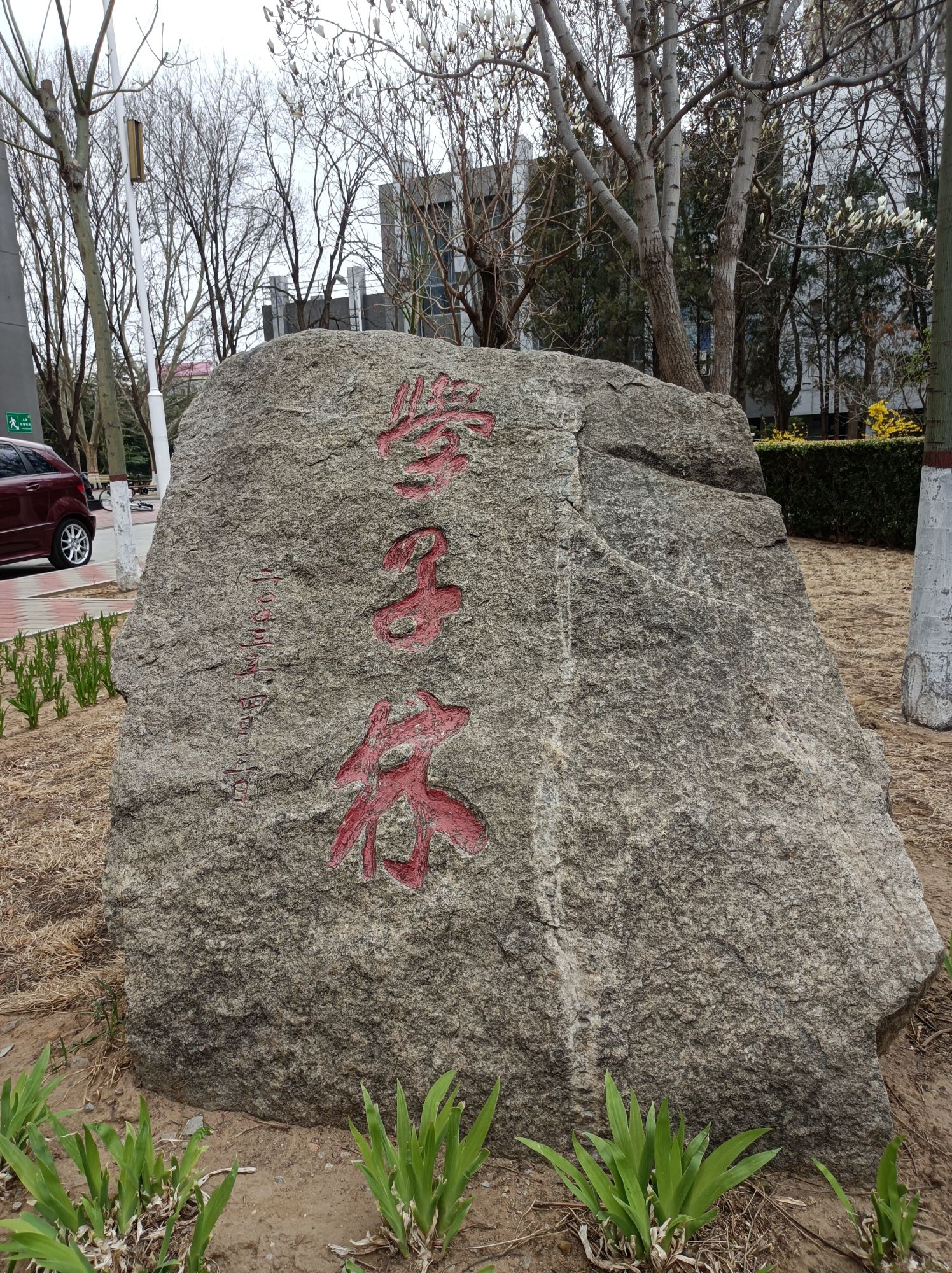 应急管理大学学子林旅行图片 1
