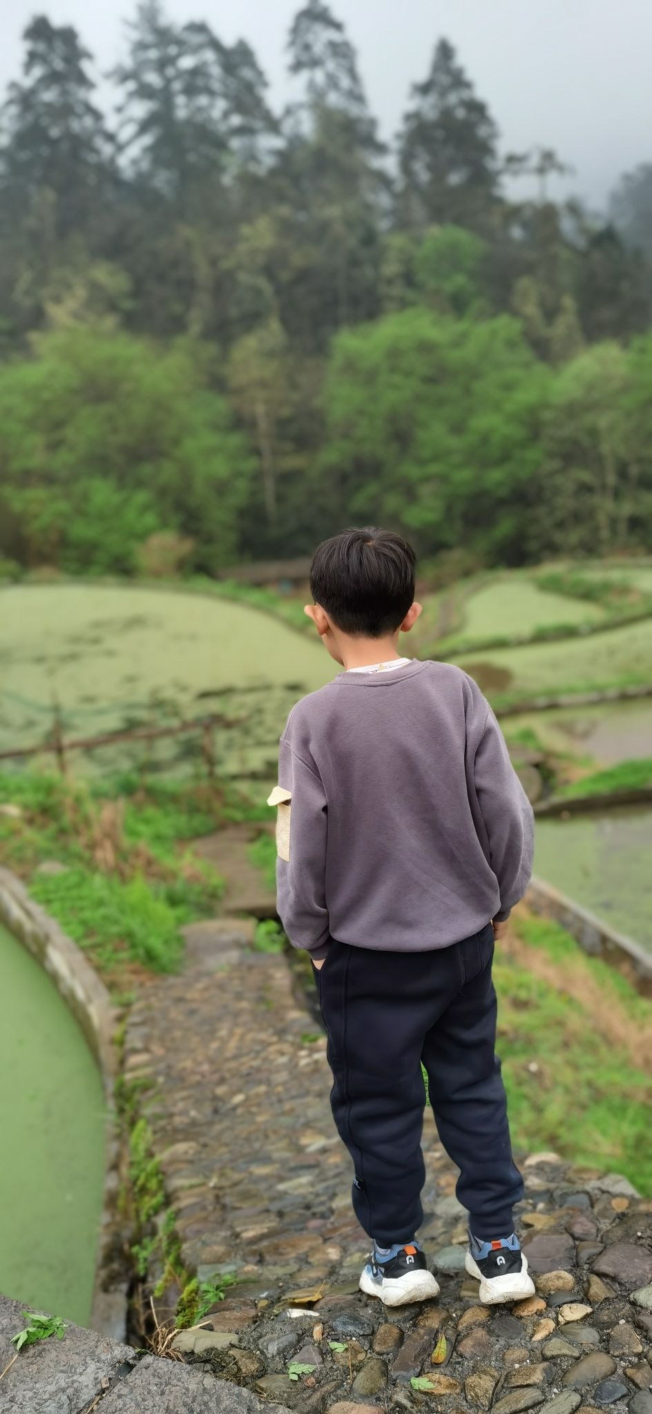 湖南小溪国家级自然保护区旅行图片 3