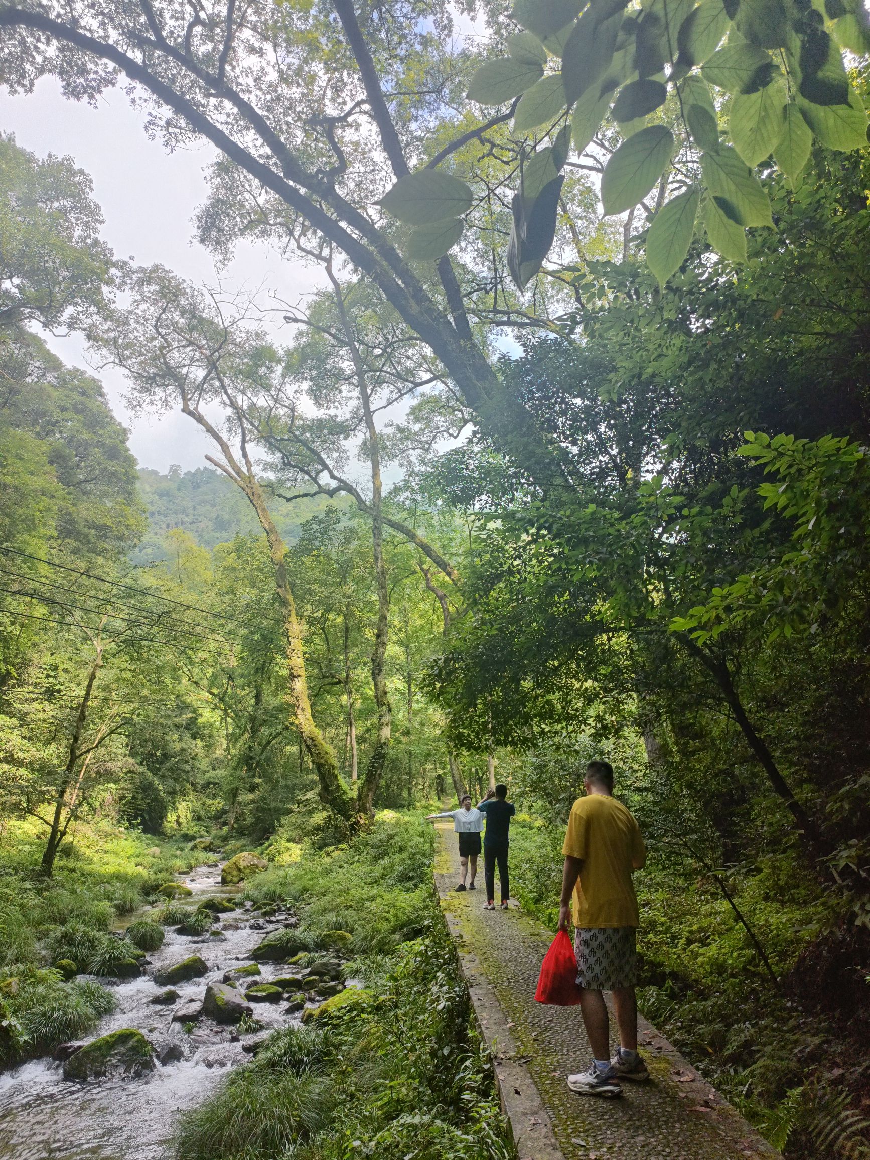湖南小溪国家级自然保护区旅行图片 1