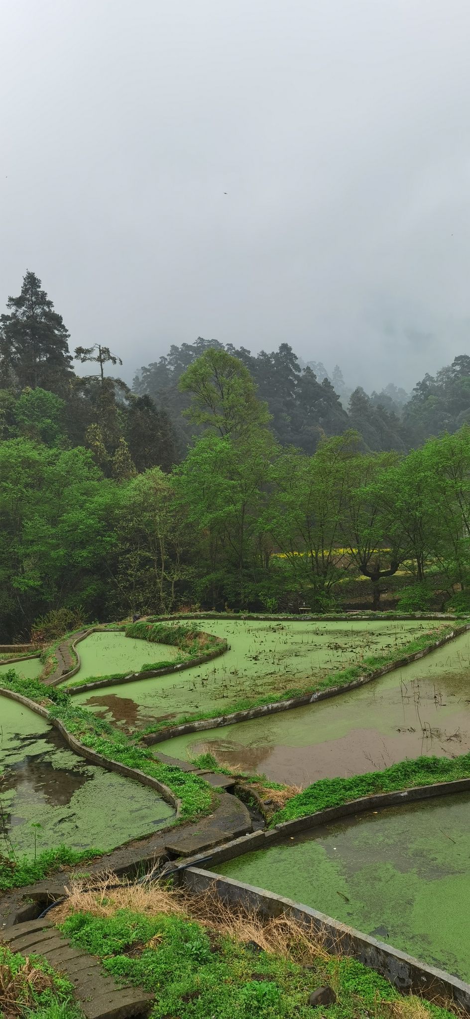 湖南小溪国家级自然保护区旅行图片 2
