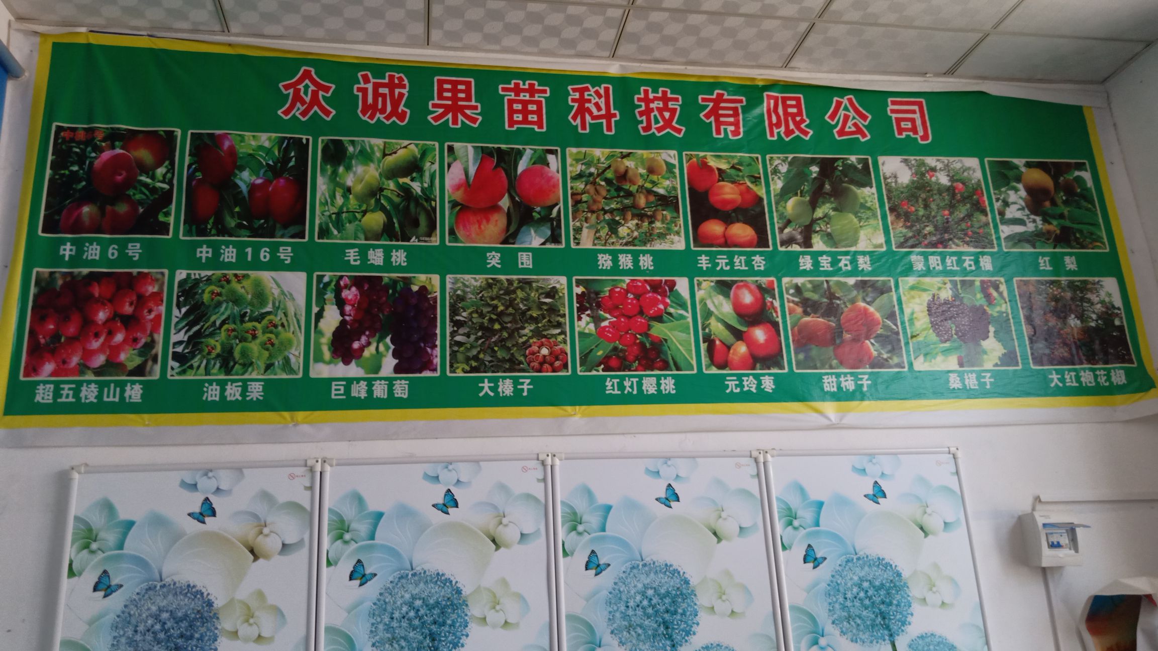枣庄众诚农业科技有限责任公司