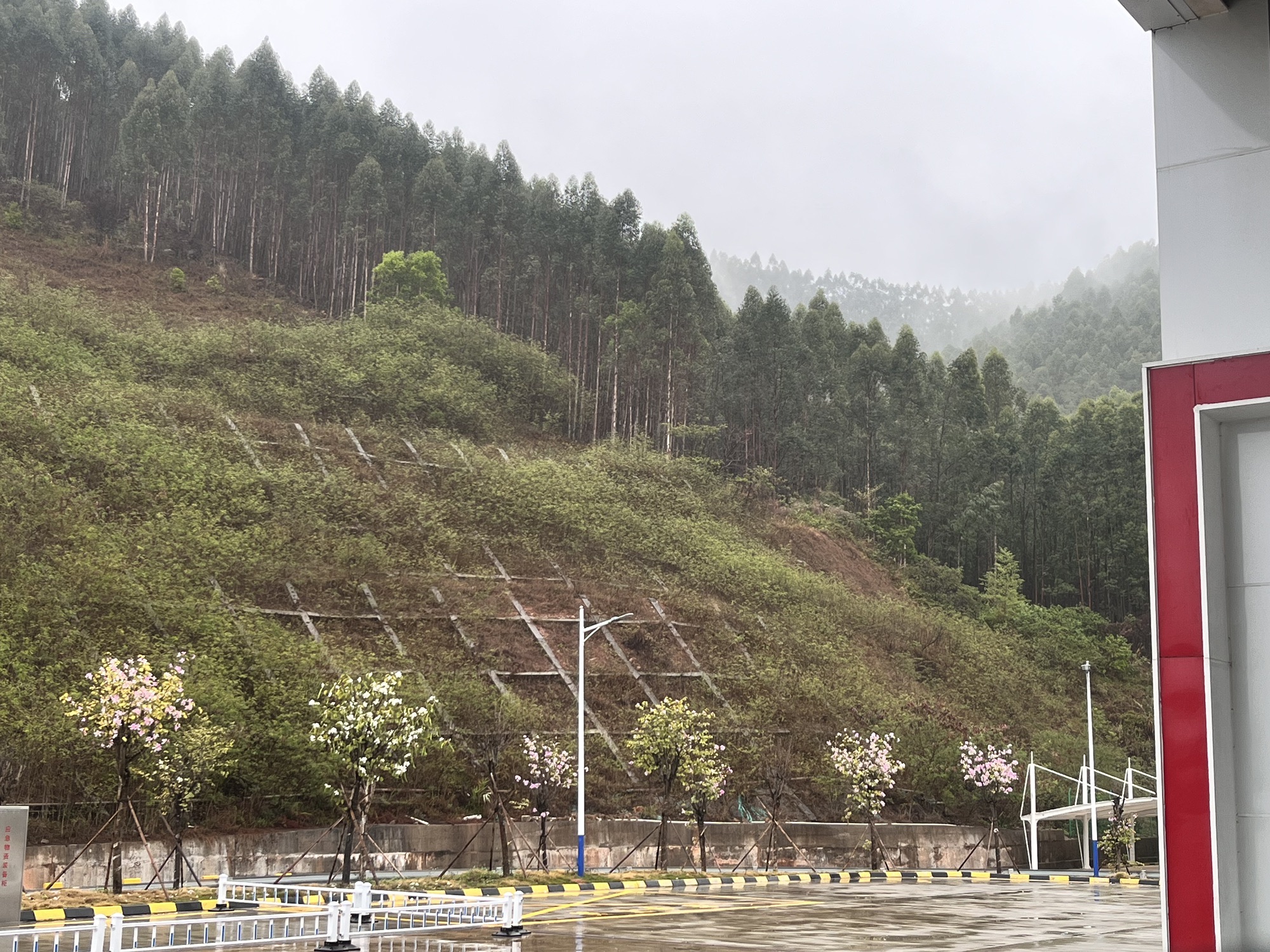 中国石化仲恺北服务区东加油站