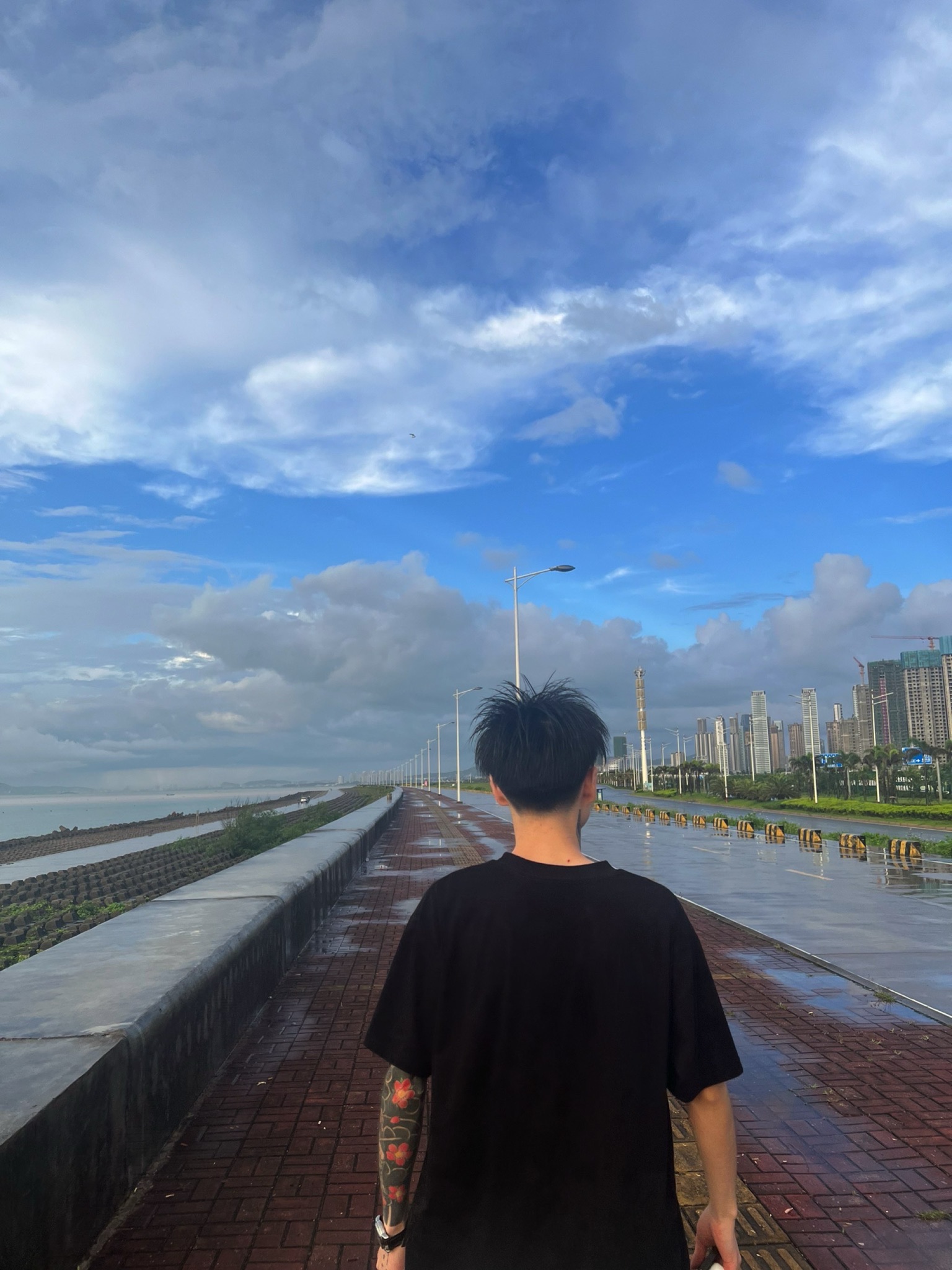 东海岸观景点旅行图片 1