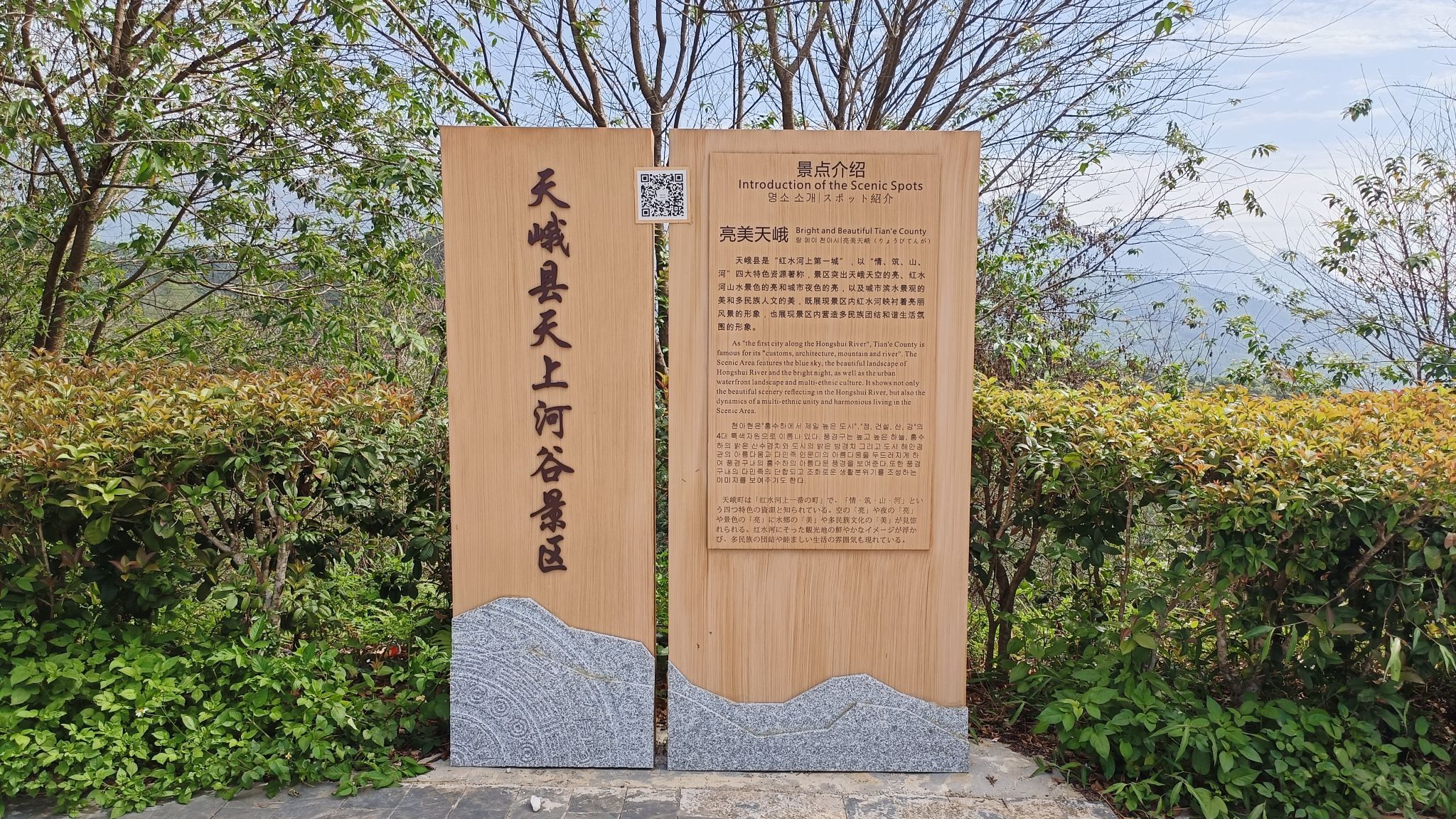 望城阁旅行图片 2