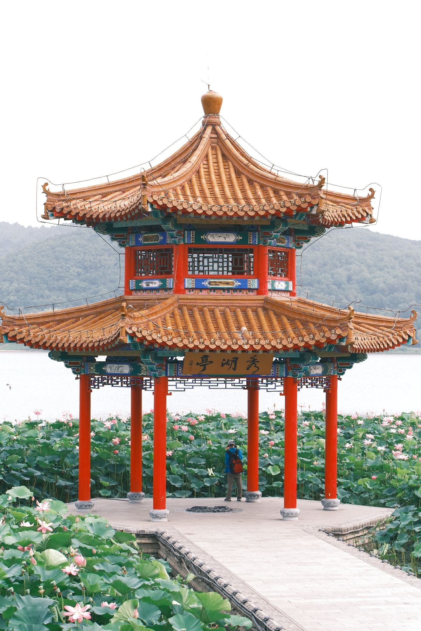 秀湖亭旅行图片 3