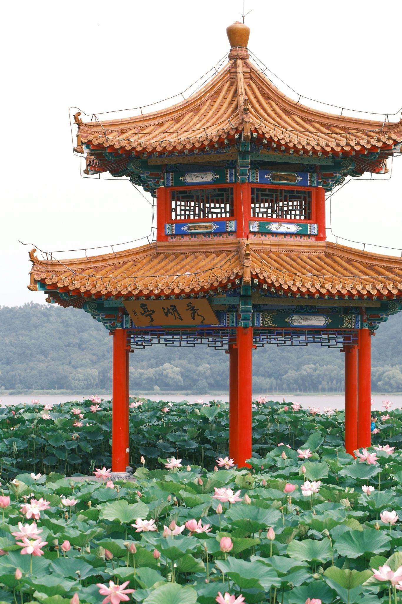 秀湖亭旅行图片 1