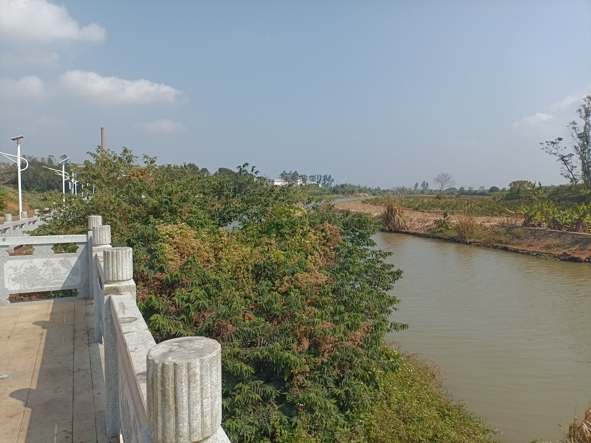 清风园公园旅行图片 3