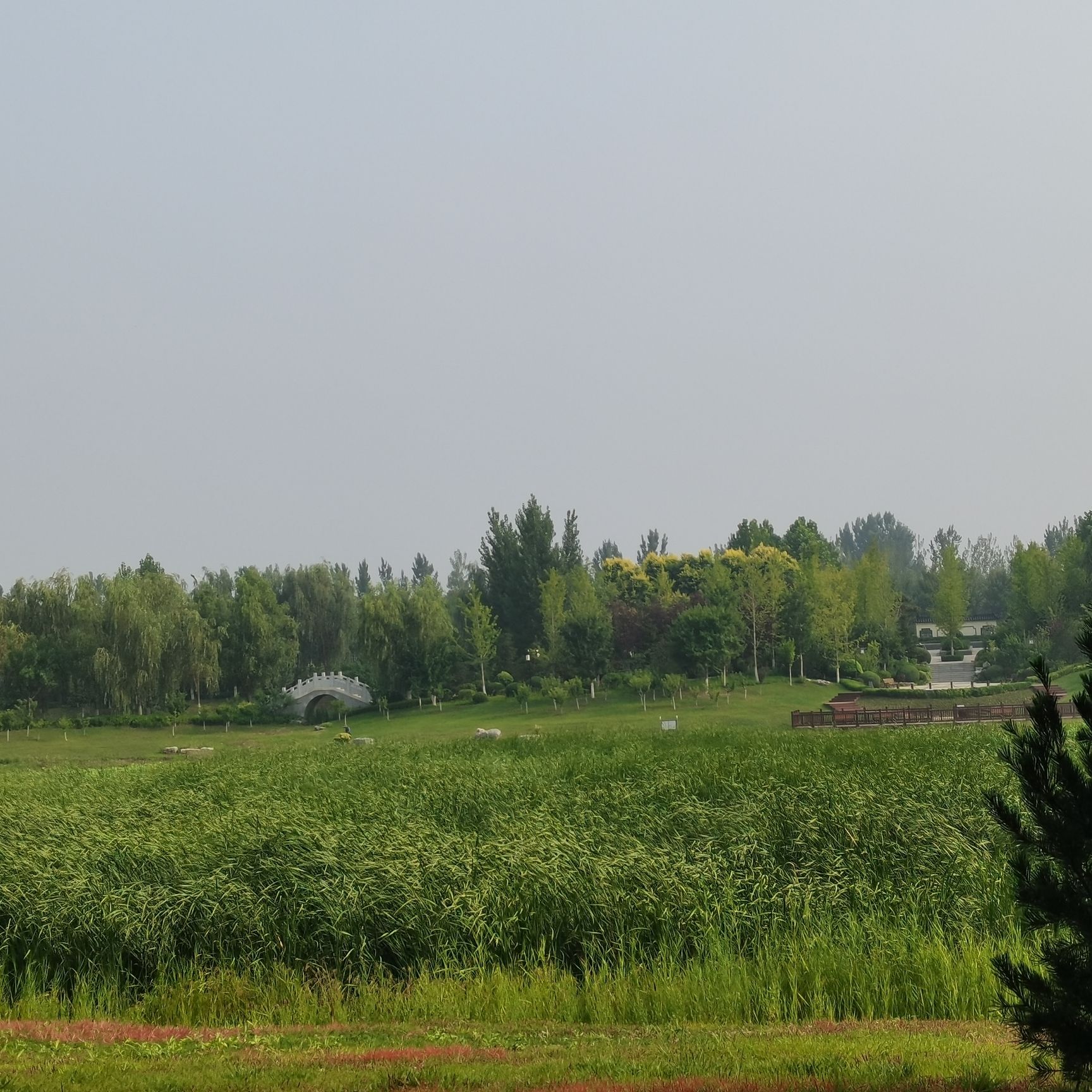 抚宁湿地公园旅行图片 3