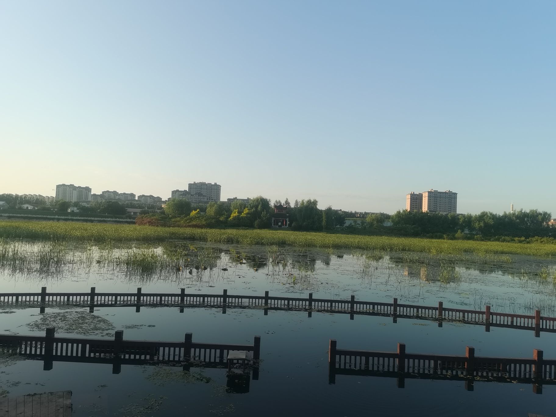 抚宁湿地公园旅行图片 2