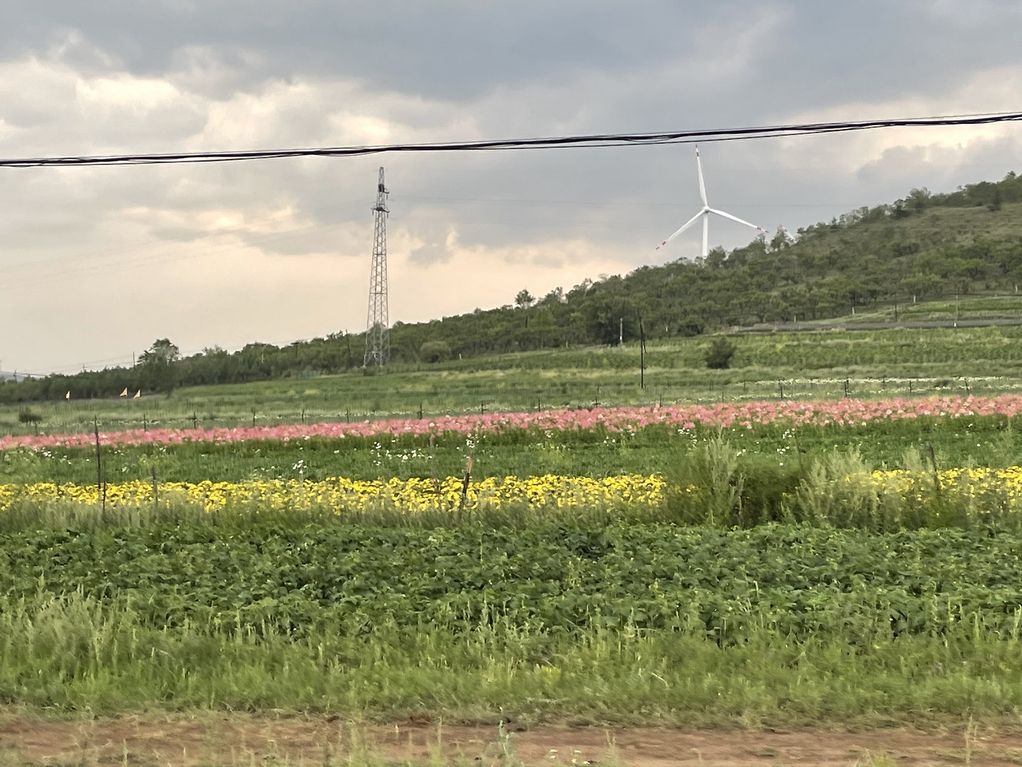草原天路西线旅行图片 3
