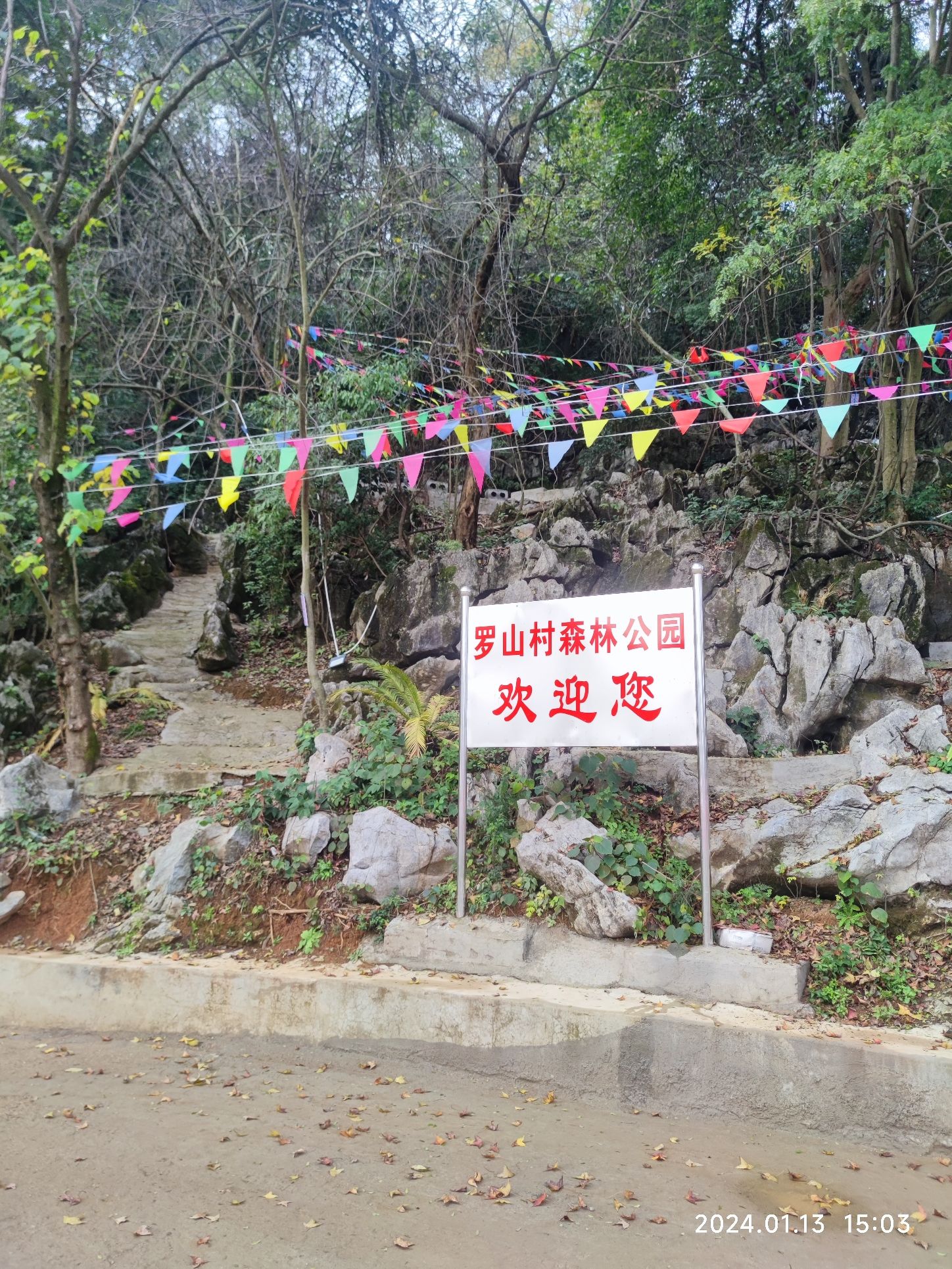 富川县莲山镇罗山村森林公园旅行图片 1