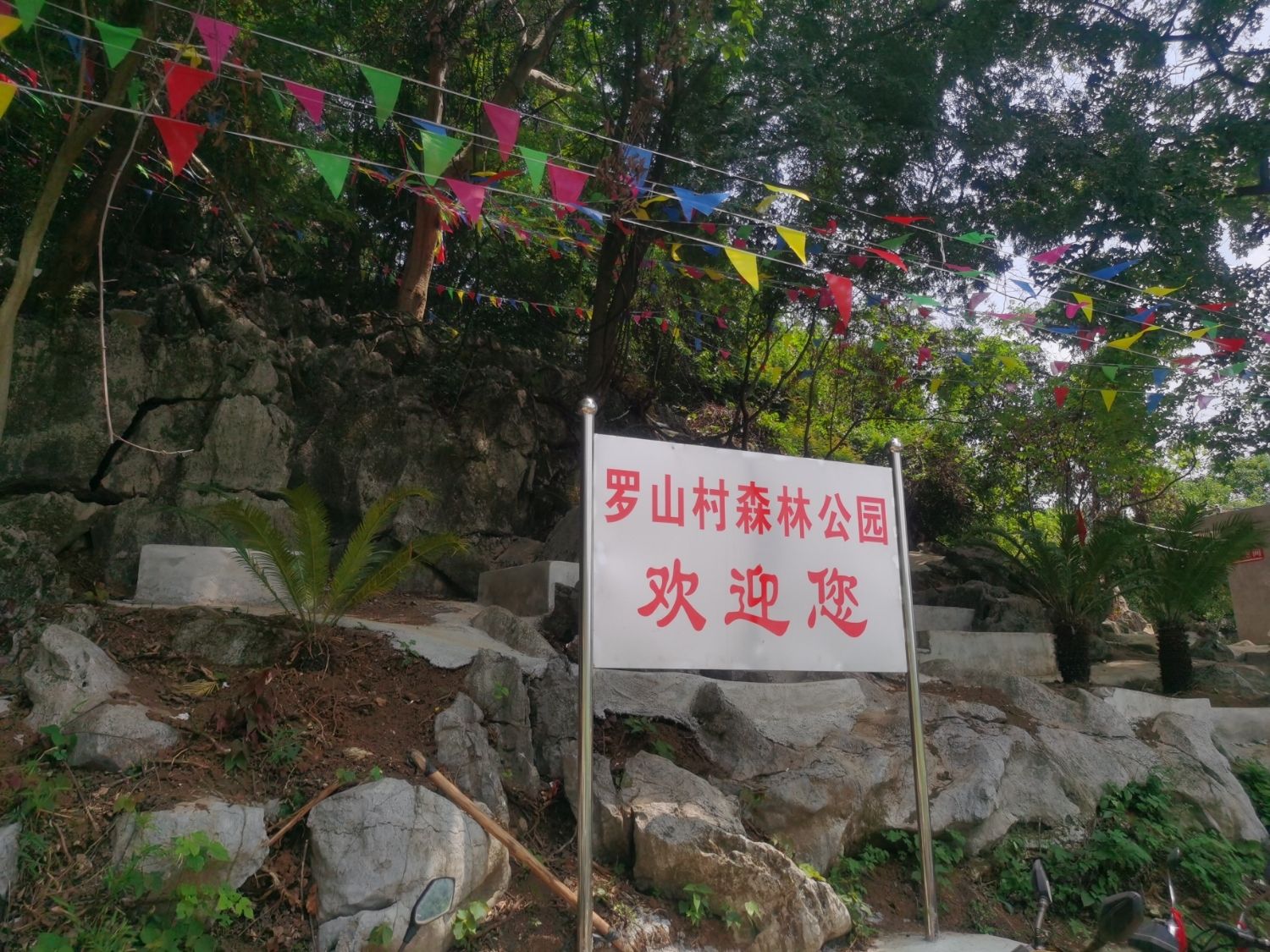 富川县莲山镇罗山村森林公园旅行图片 2