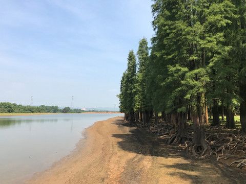 抚州市植物园旅行图片 3