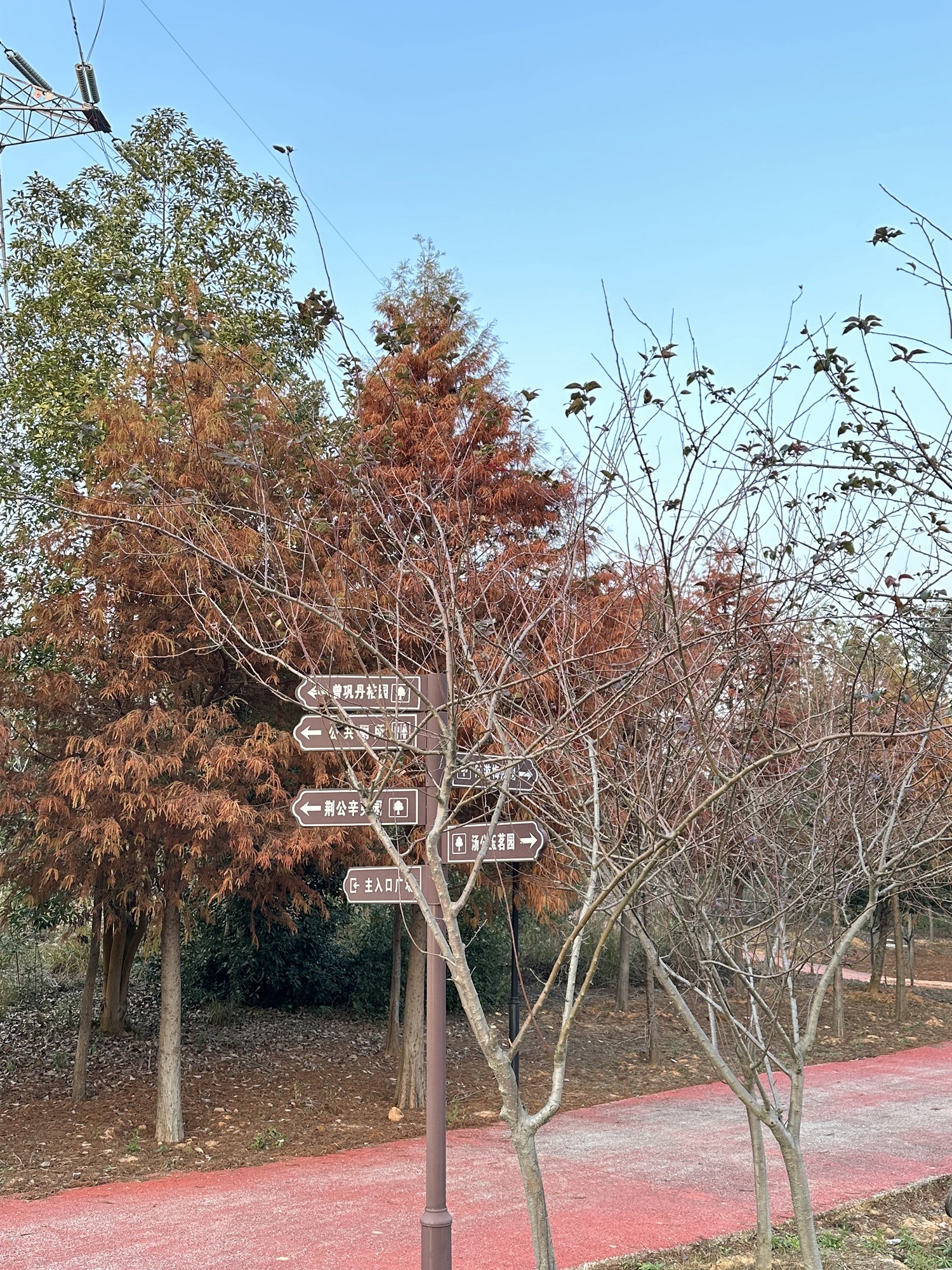 抚州市植物园旅行图片 3