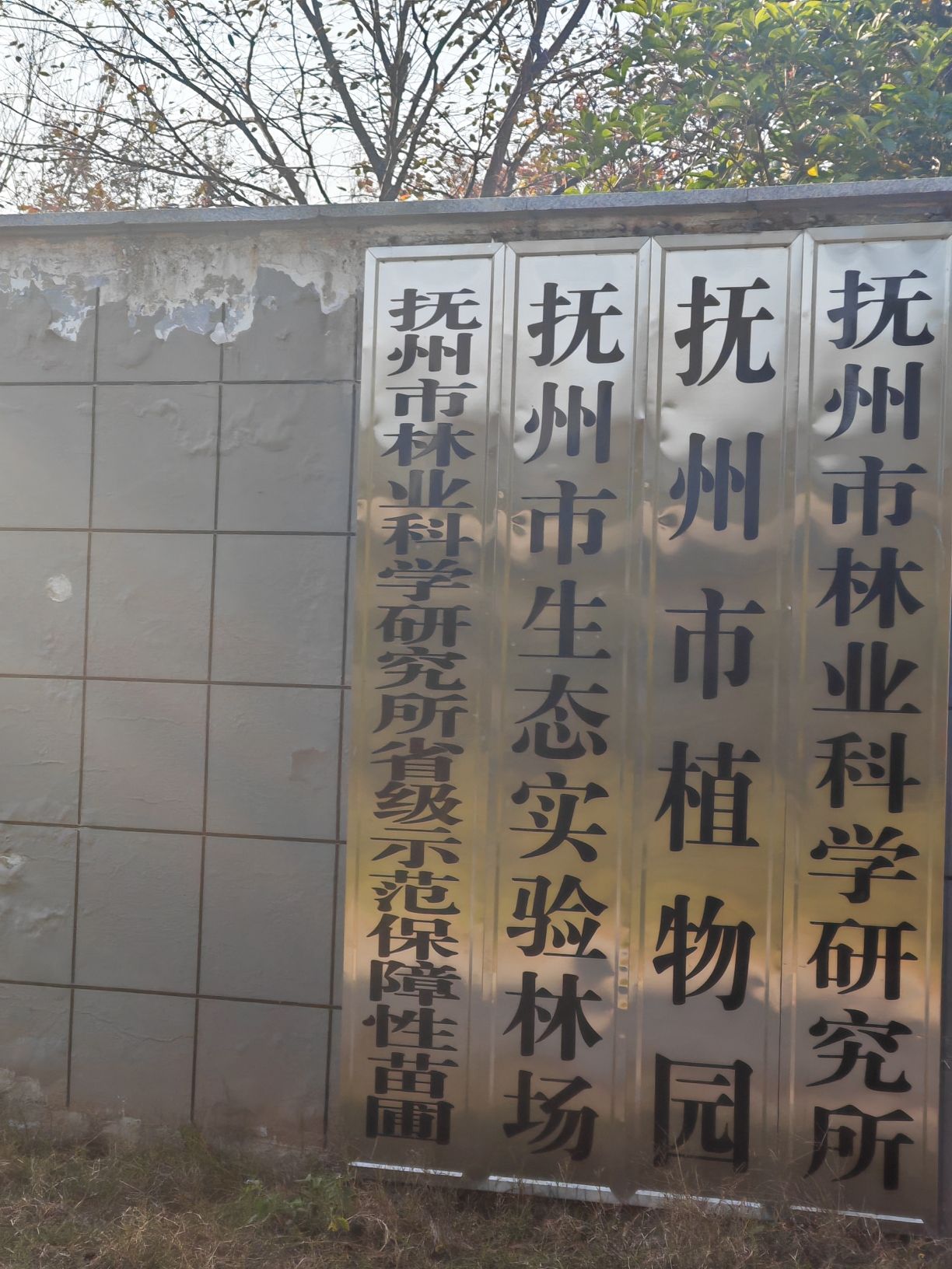 抚州市植物园旅行图片 1