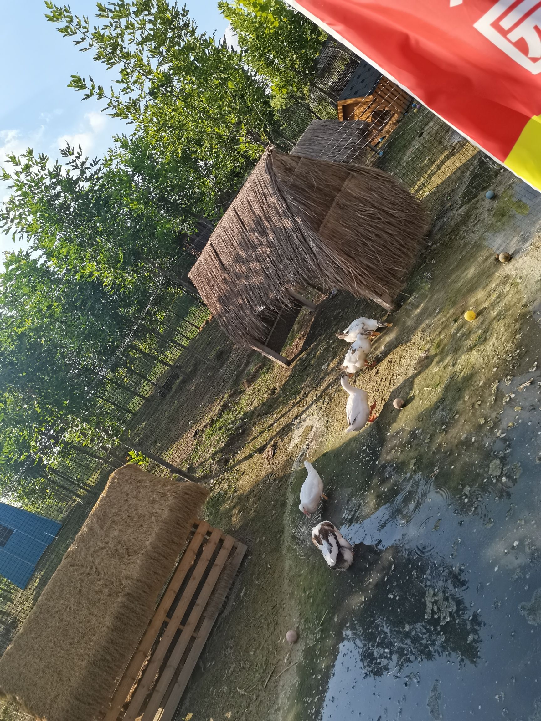 南湖湾文旅小镇旅行图片 1