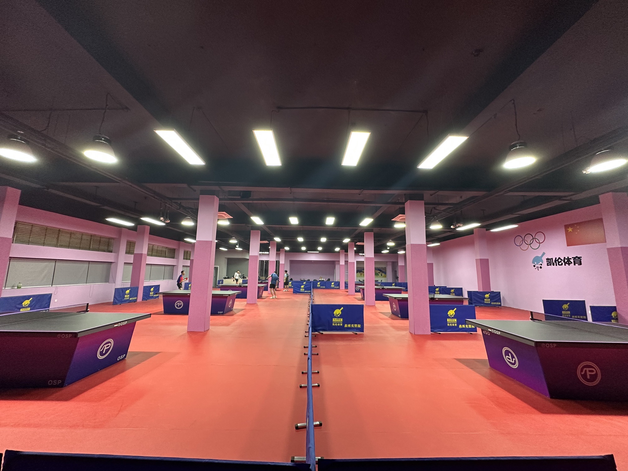 场地封面-凯伦体育