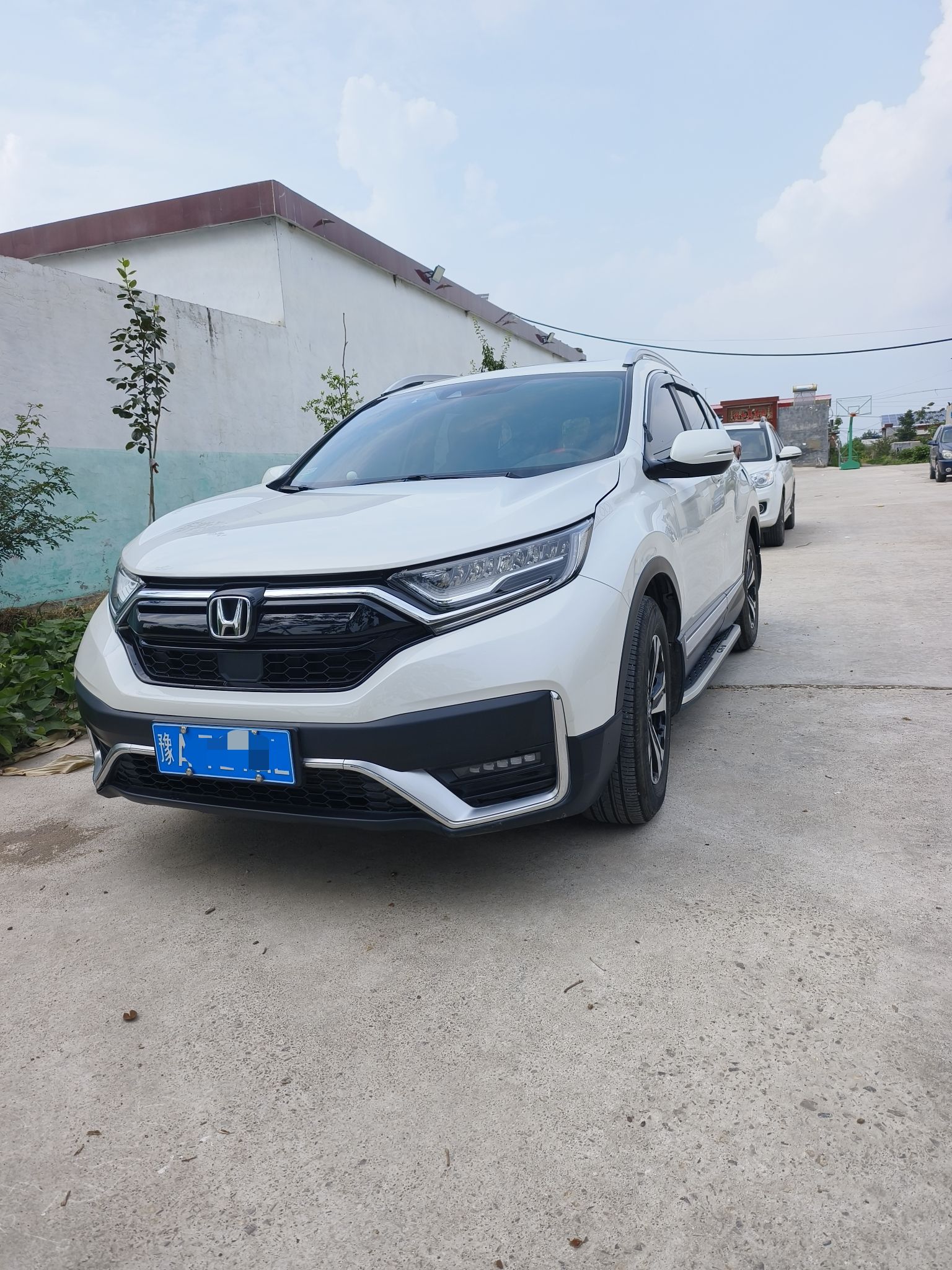 石龙王广场旅行图片 2