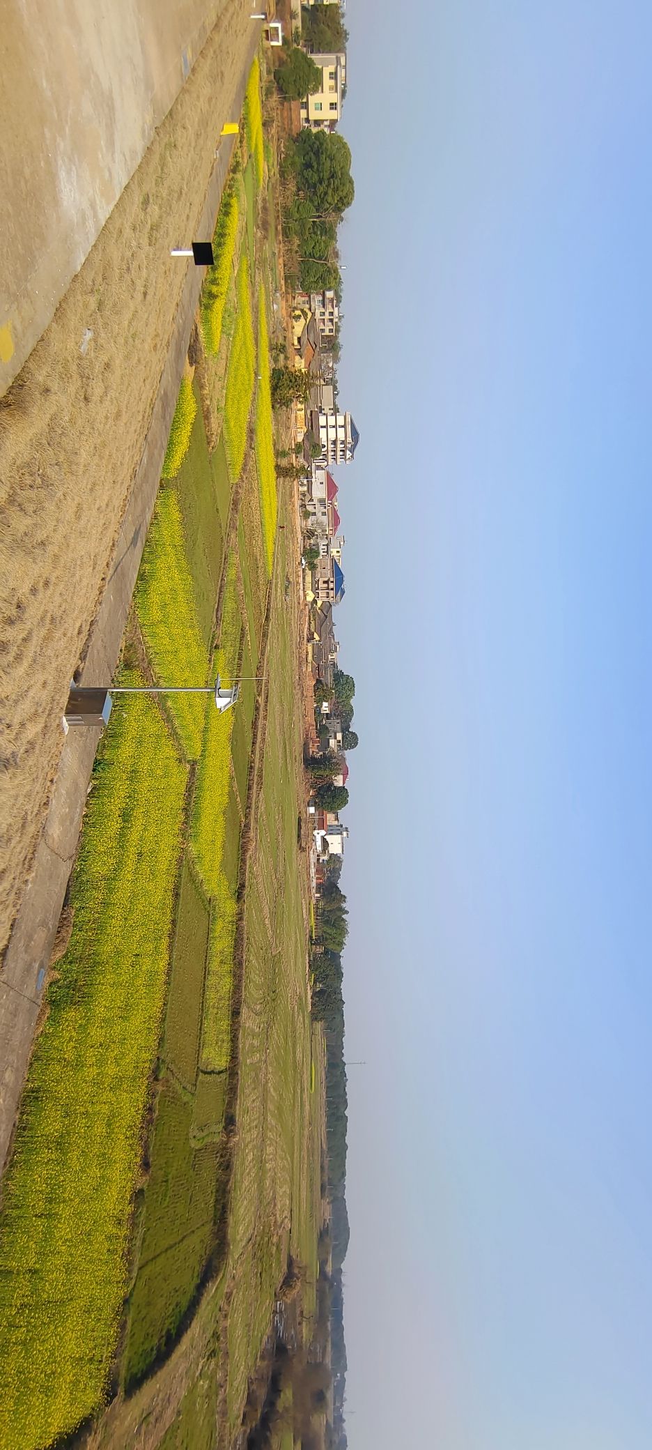 东乡区丁仕村森林公园旅行图片 1