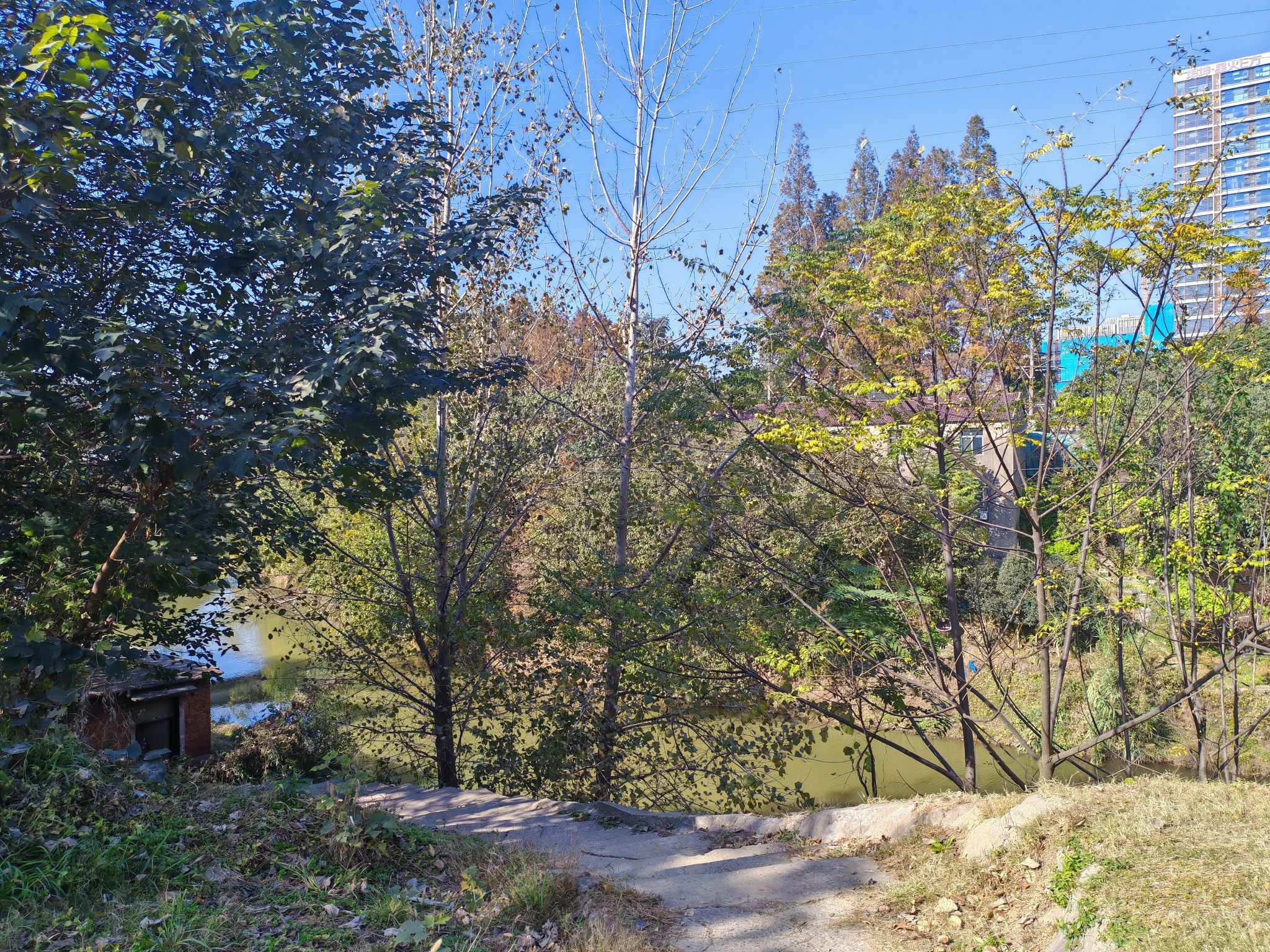 碧泉旅行图片 3