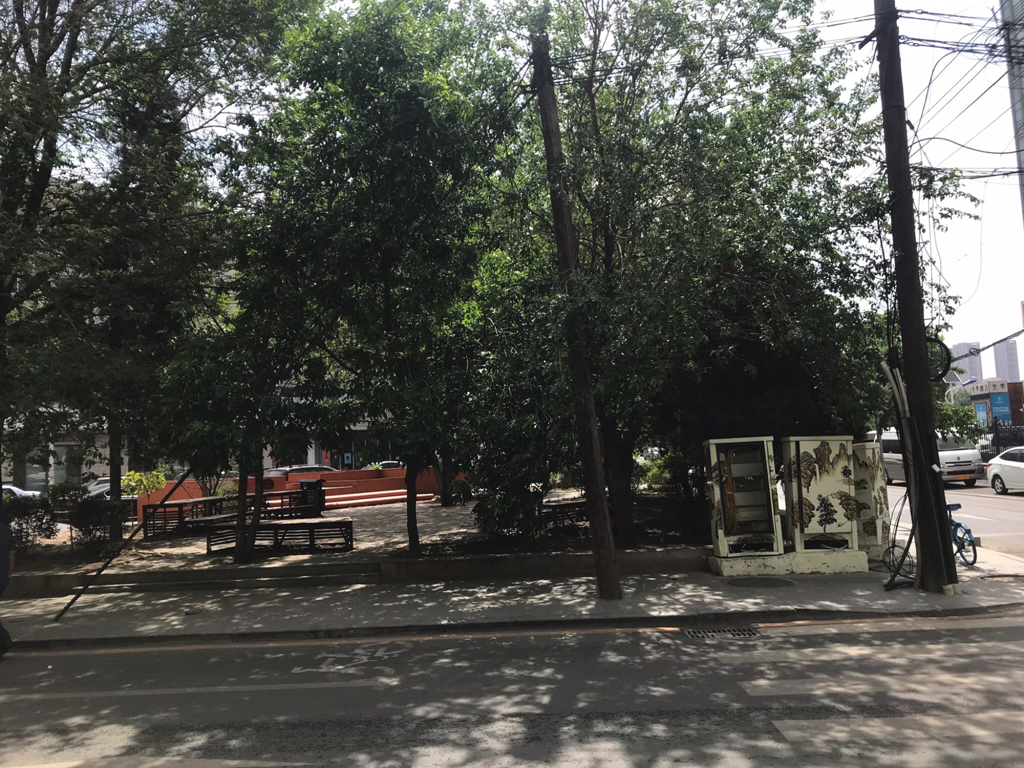 街心花园旅行图片 1