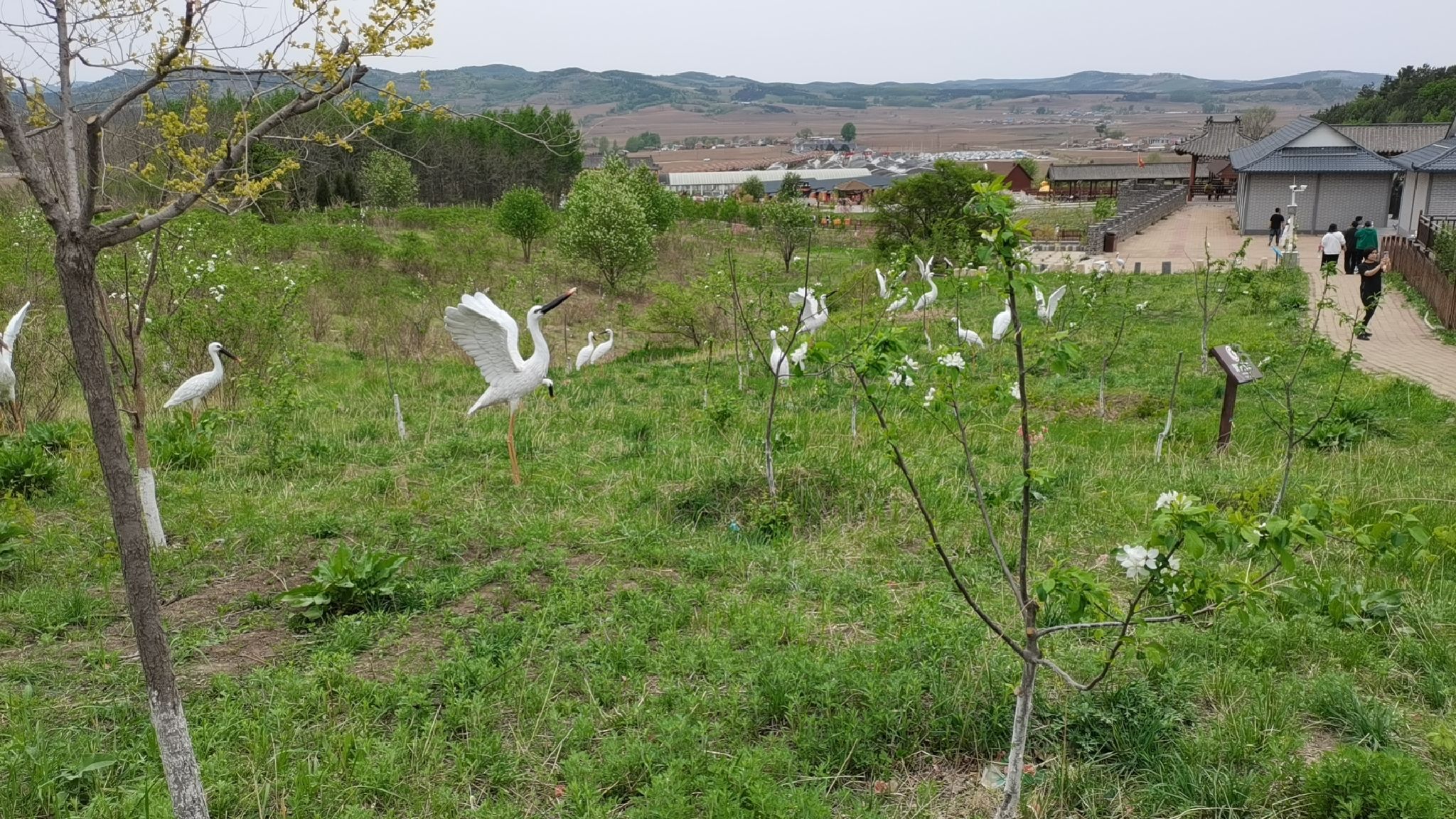 公主岭大龙山文化园旅行图片 1