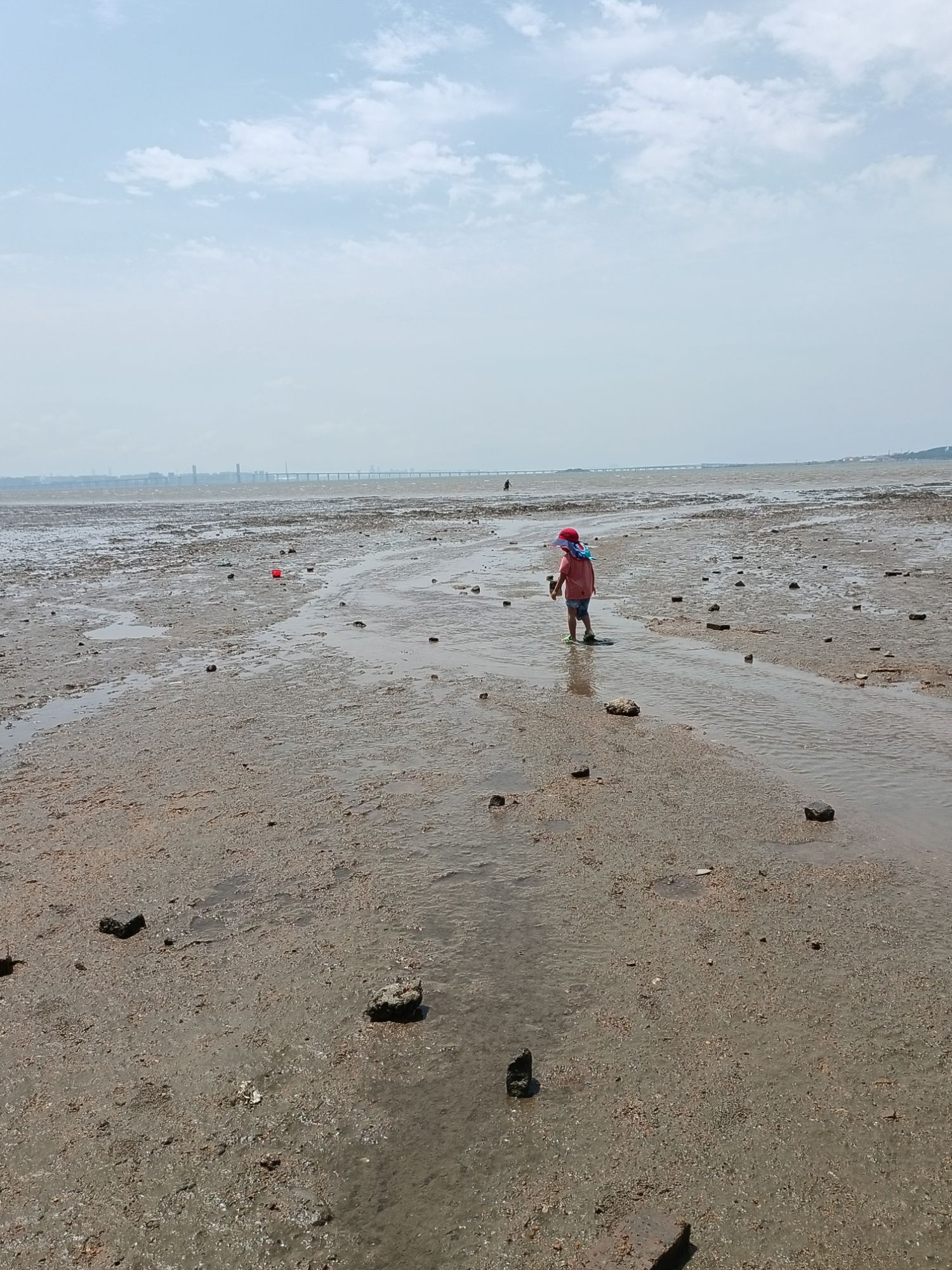 滨海路沙滩旅行图片 3