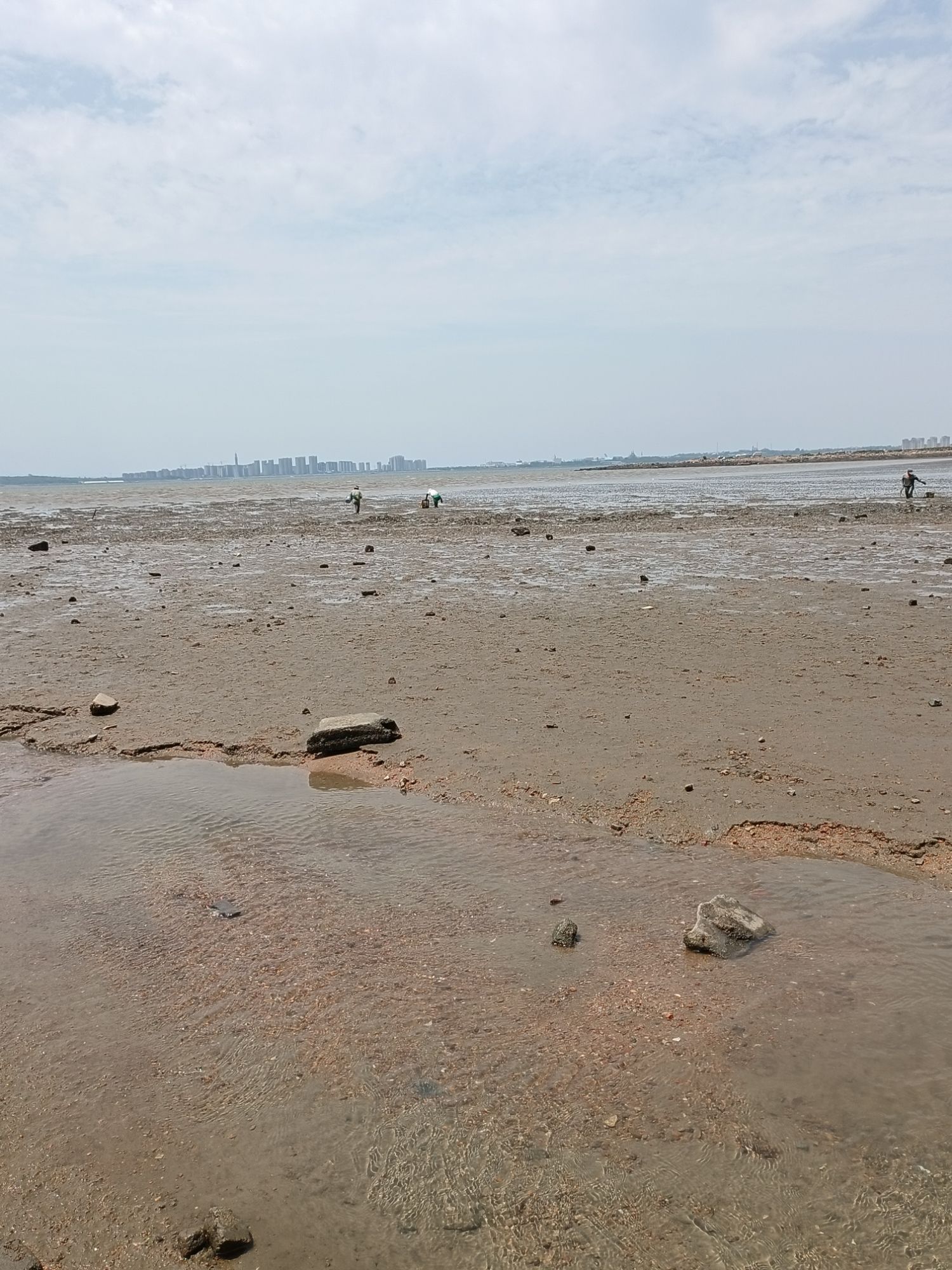滨海路沙滩旅行图片 1