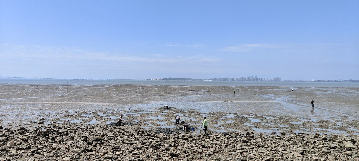 滨海路沙滩旅行图片 2