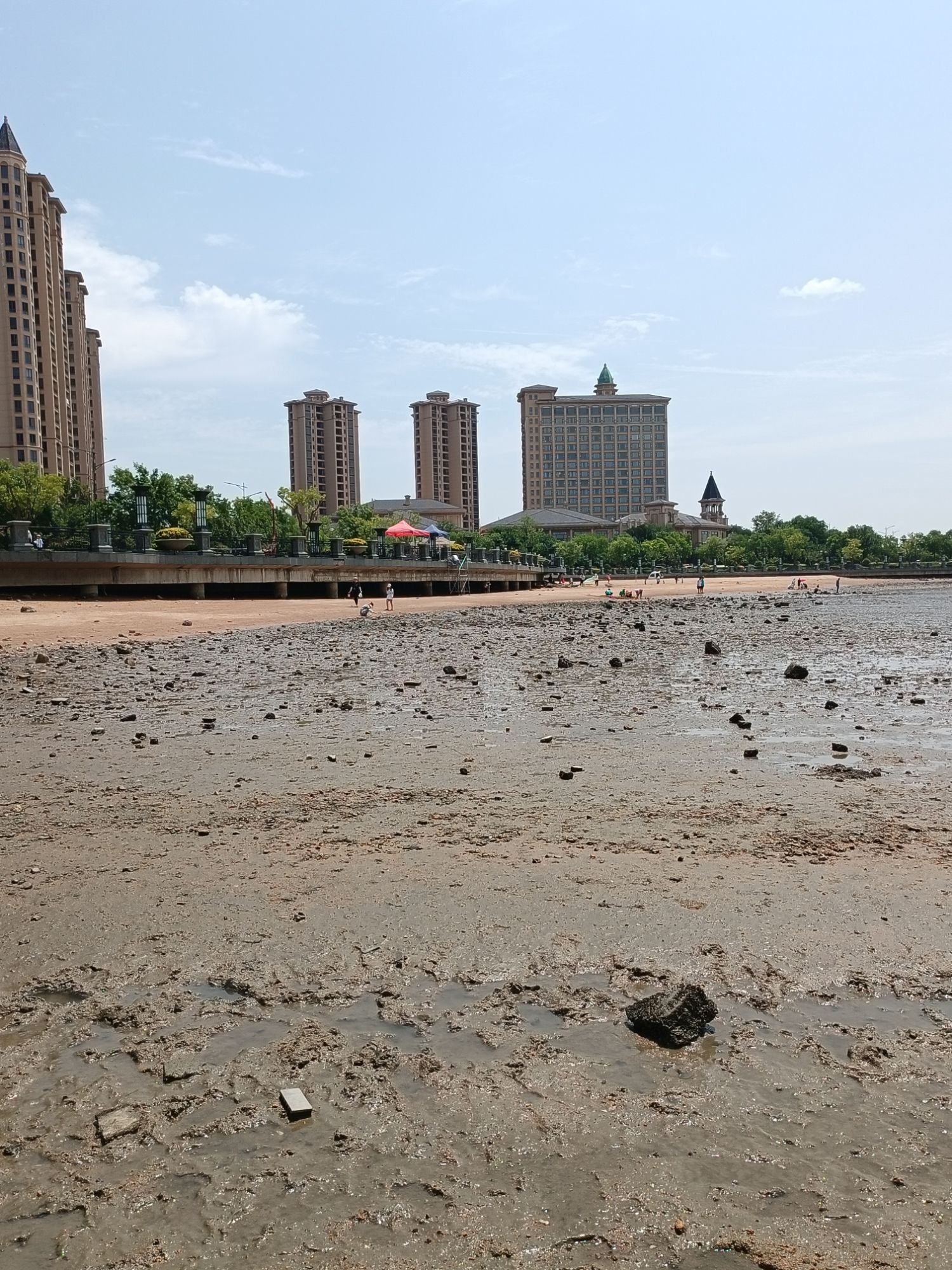 滨海路沙滩旅行图片 2