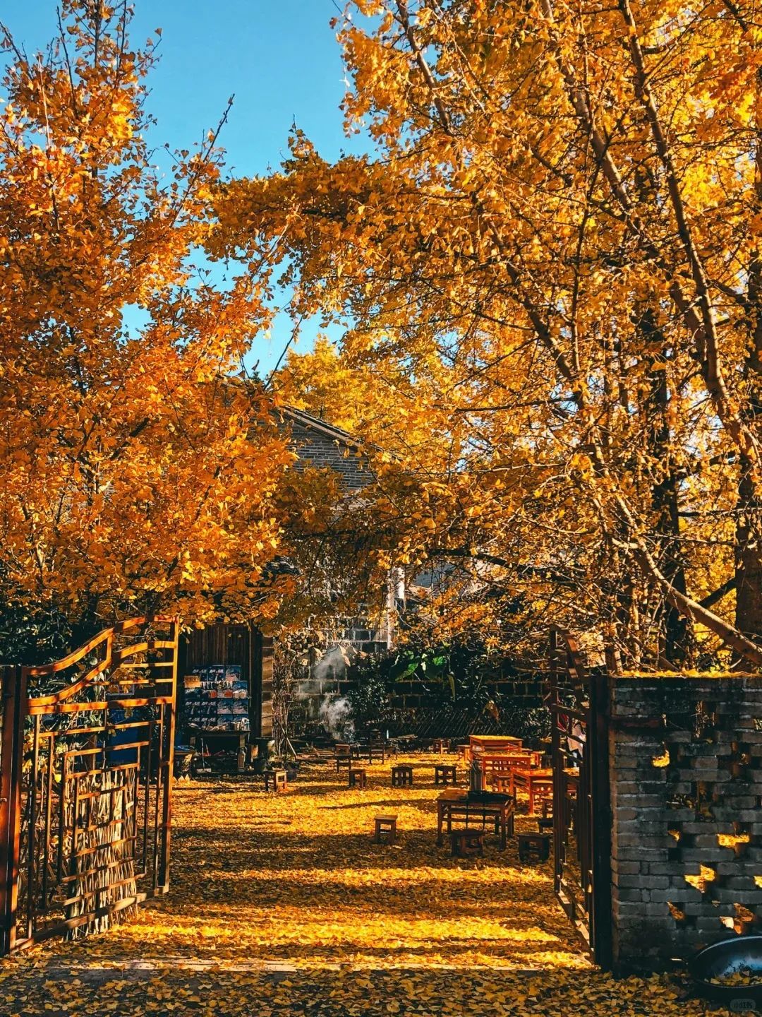 腾冲银杏村景区-游客中心