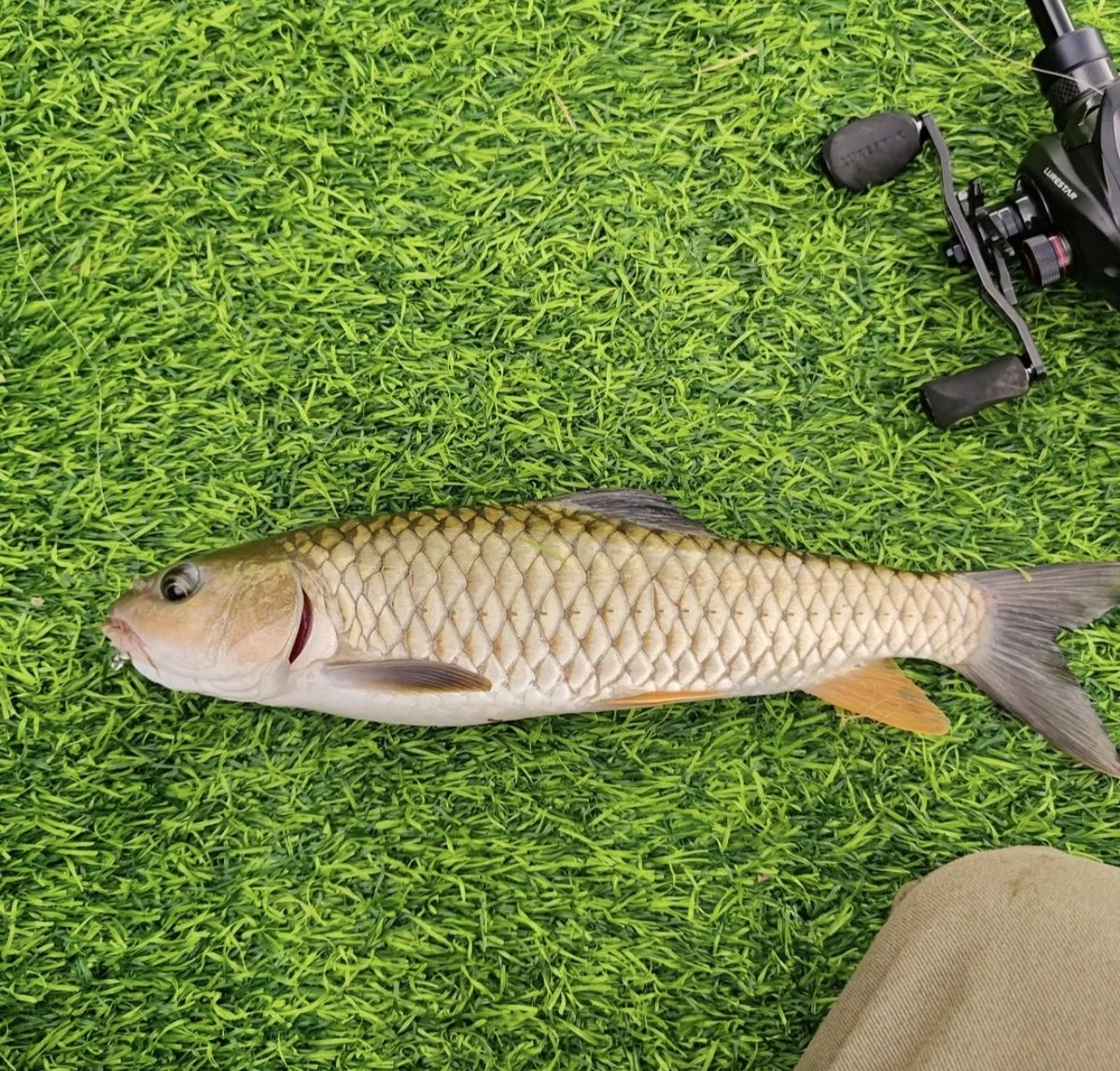 龙岗美峪钓鱼场