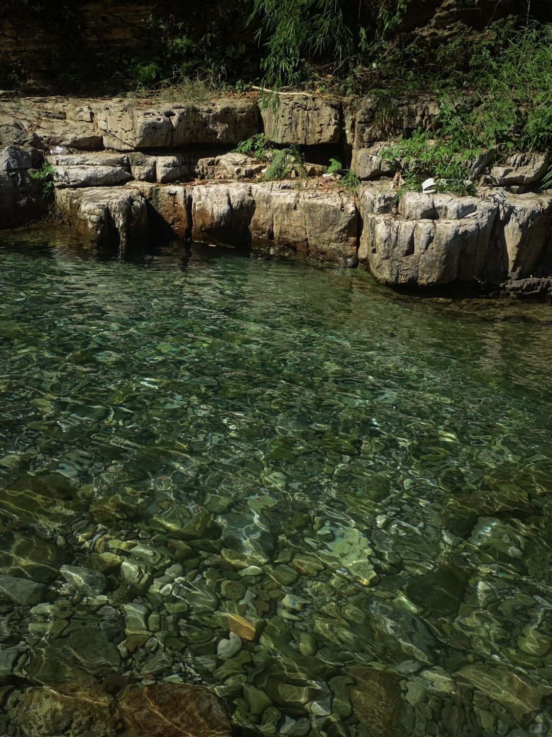 新村冷水河旅行图片 1