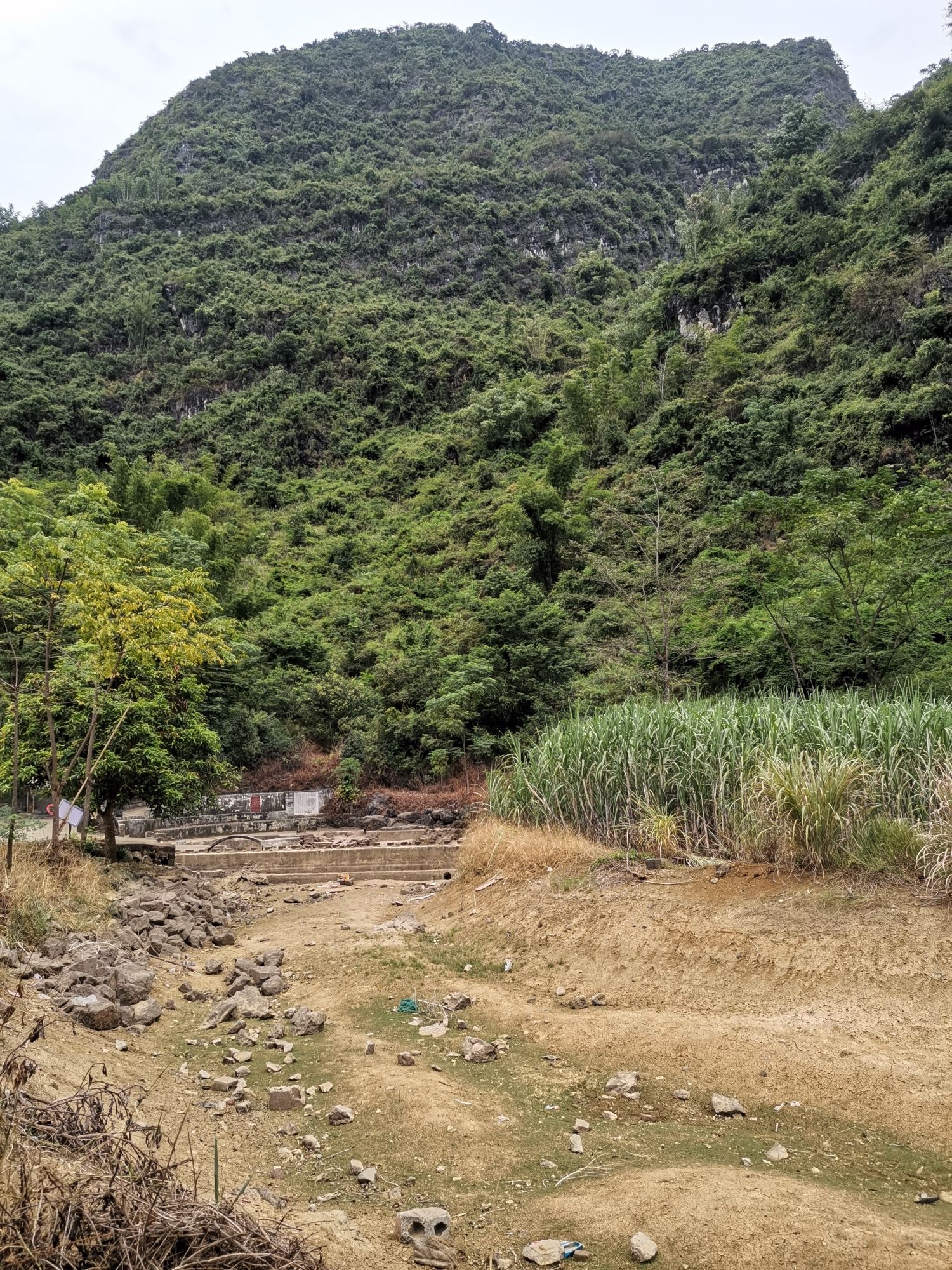 新村冷水河旅行图片 3