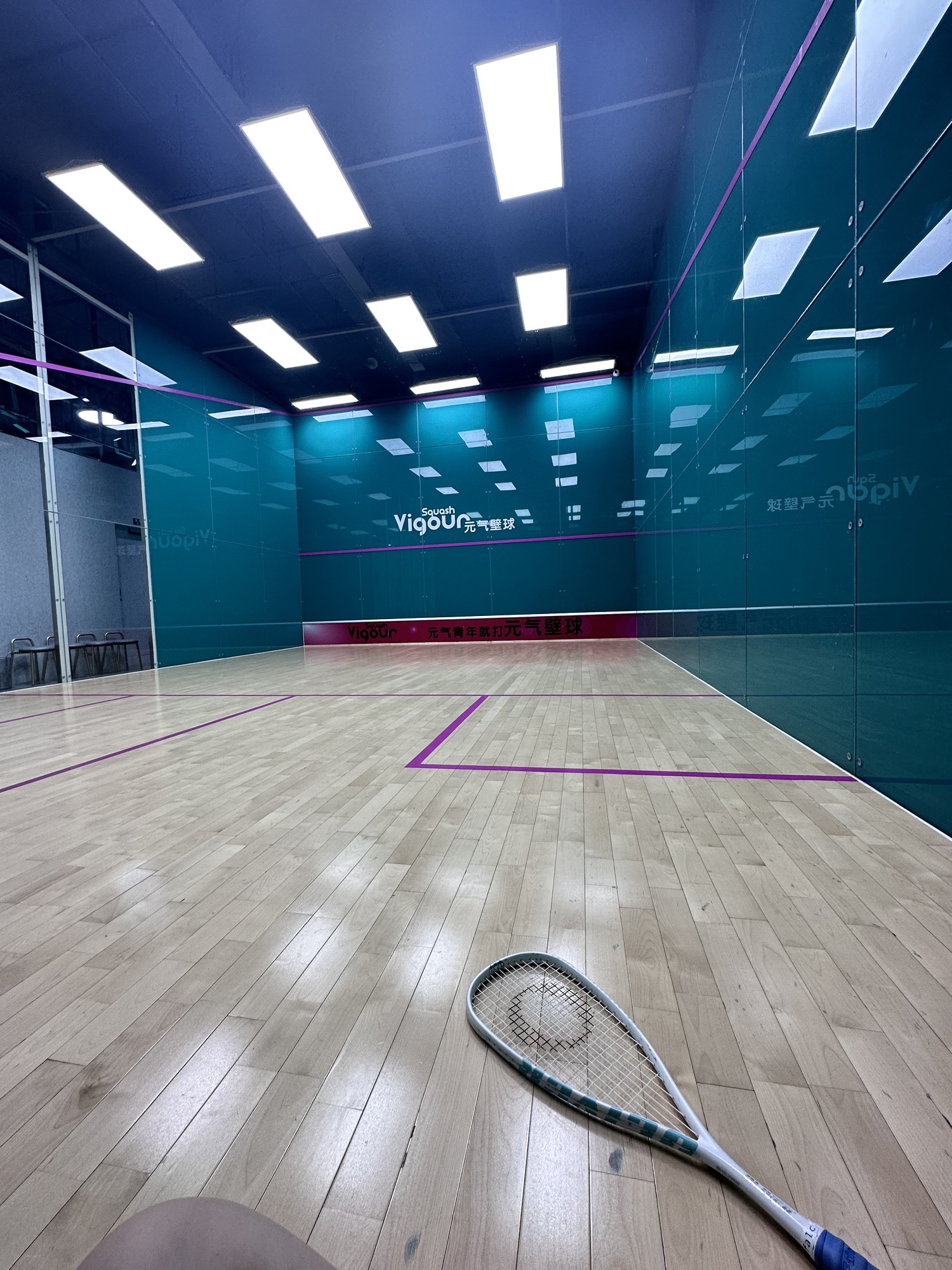 场地封面-元气壁球