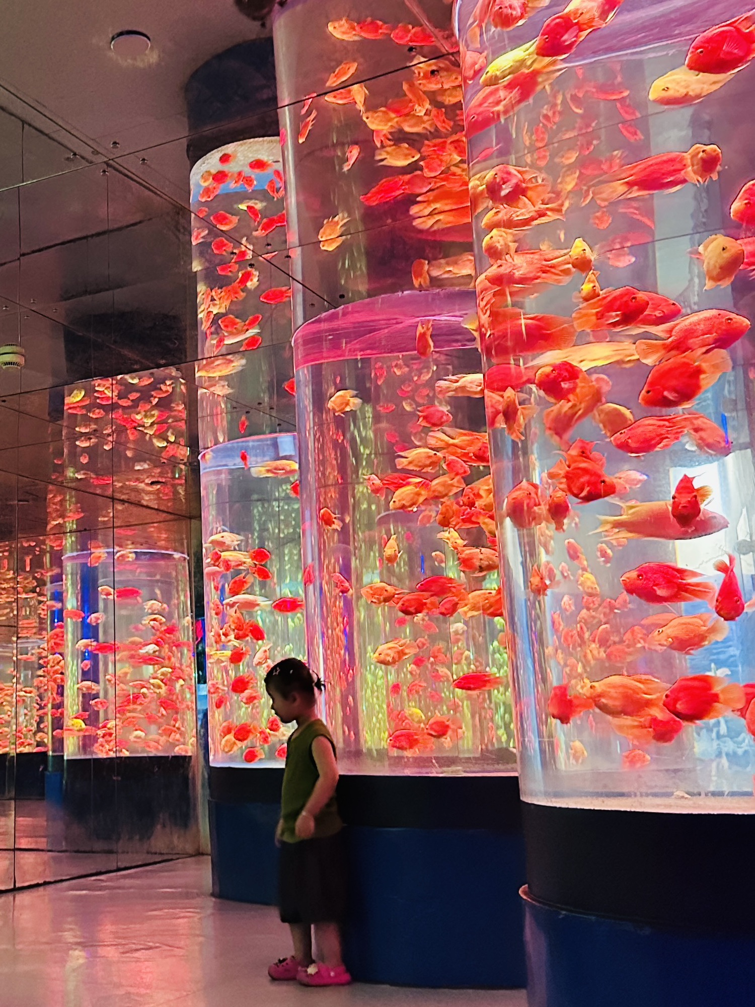 浙东淡水鱼馆旅行图片 1