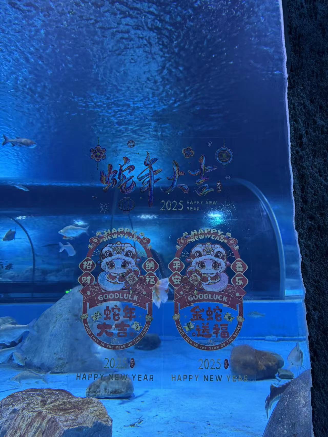 浙东淡水鱼馆旅行图片 1