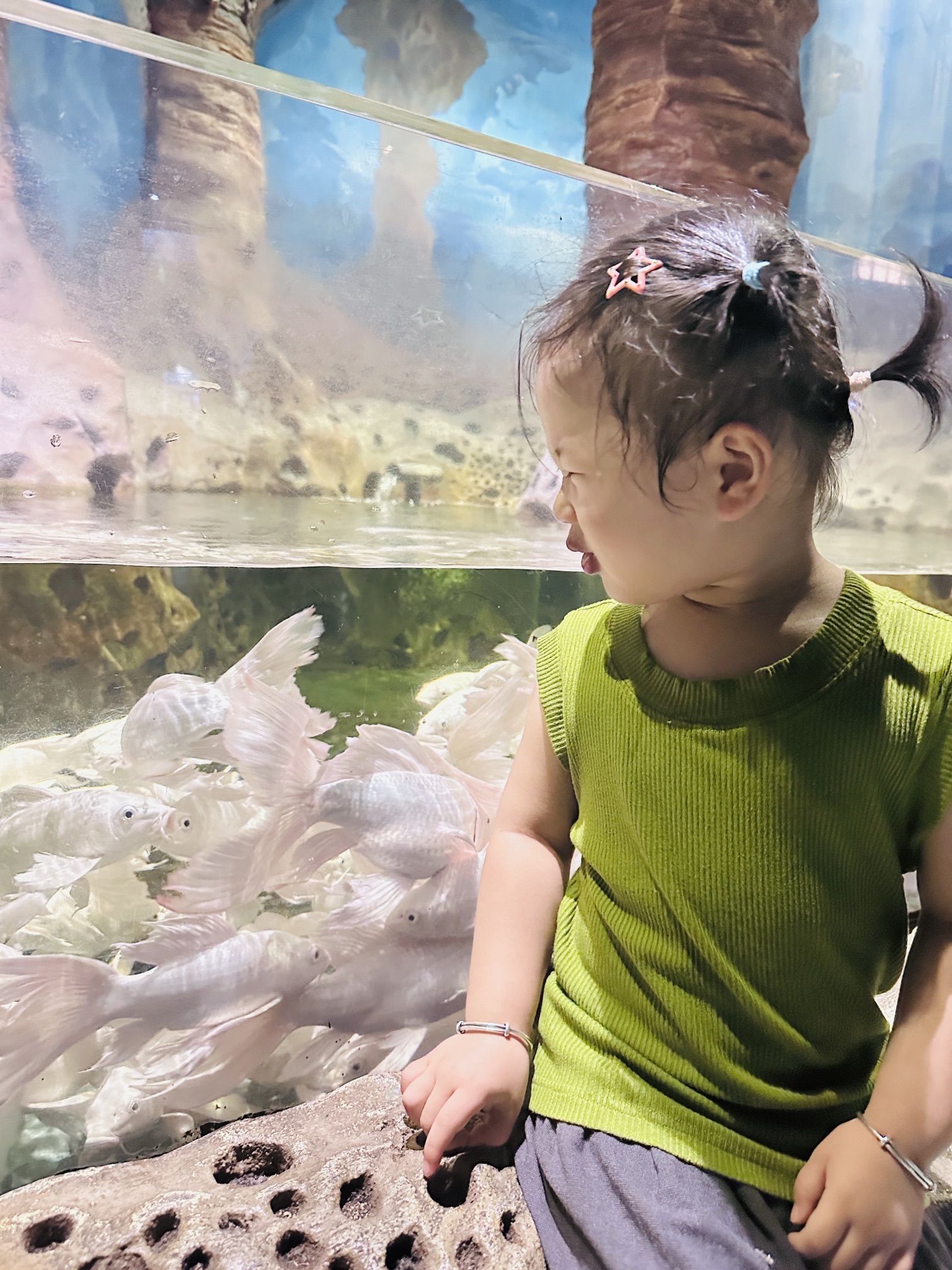 浙东淡水鱼馆旅行图片 3