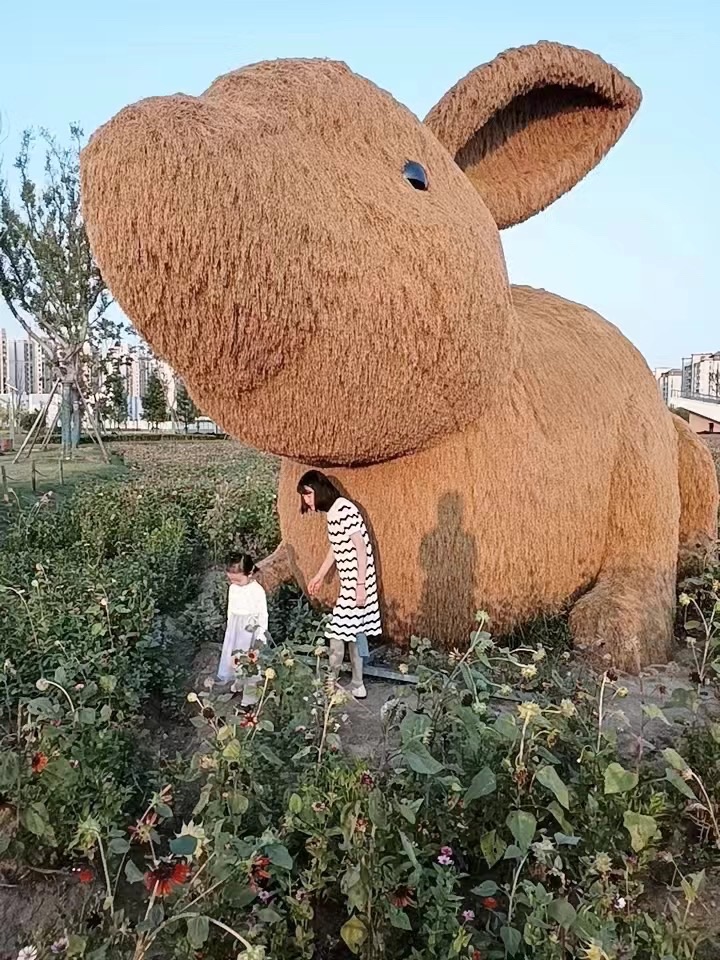 派园旅行图片 1