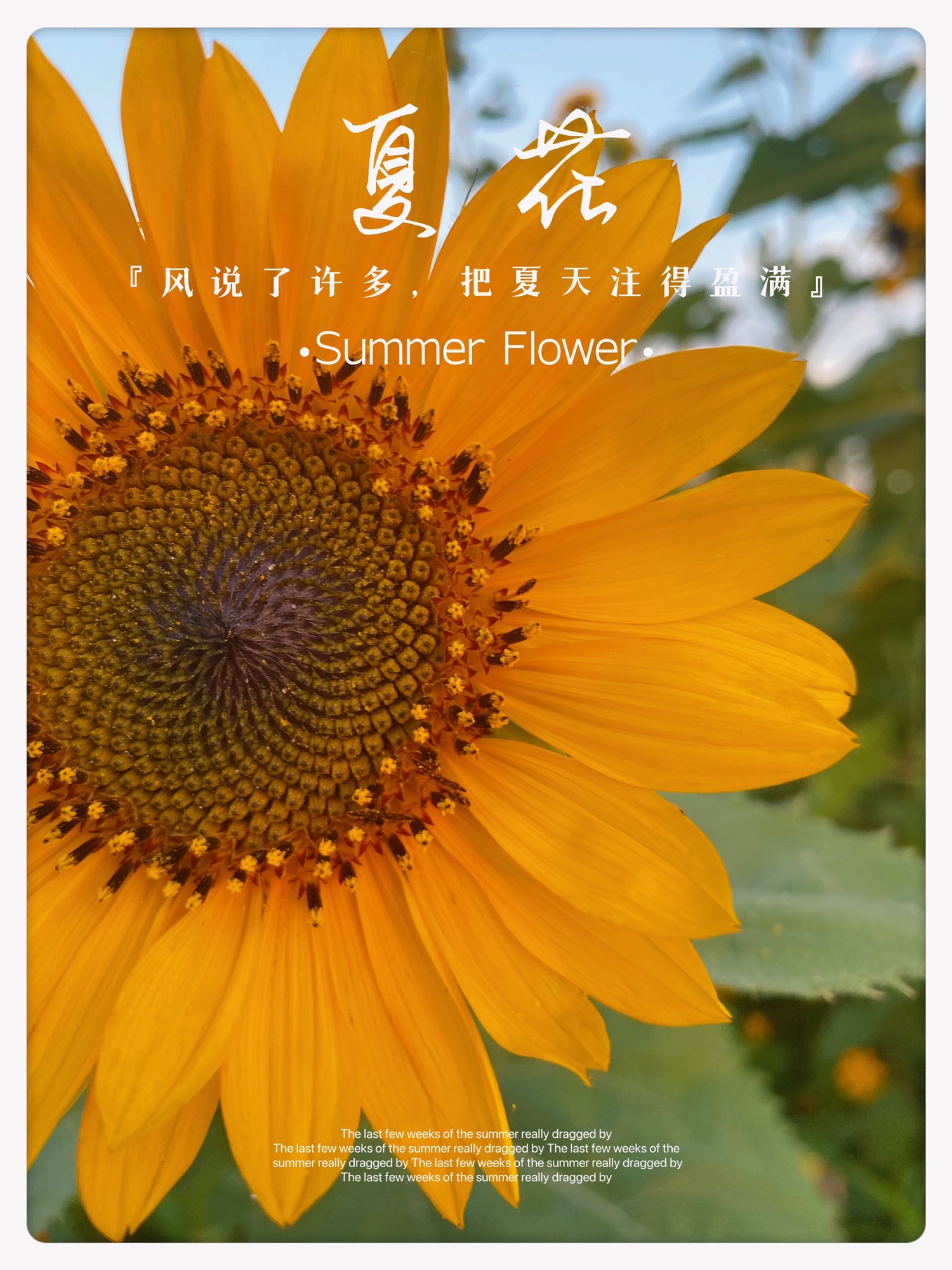 派园旅行图片 2