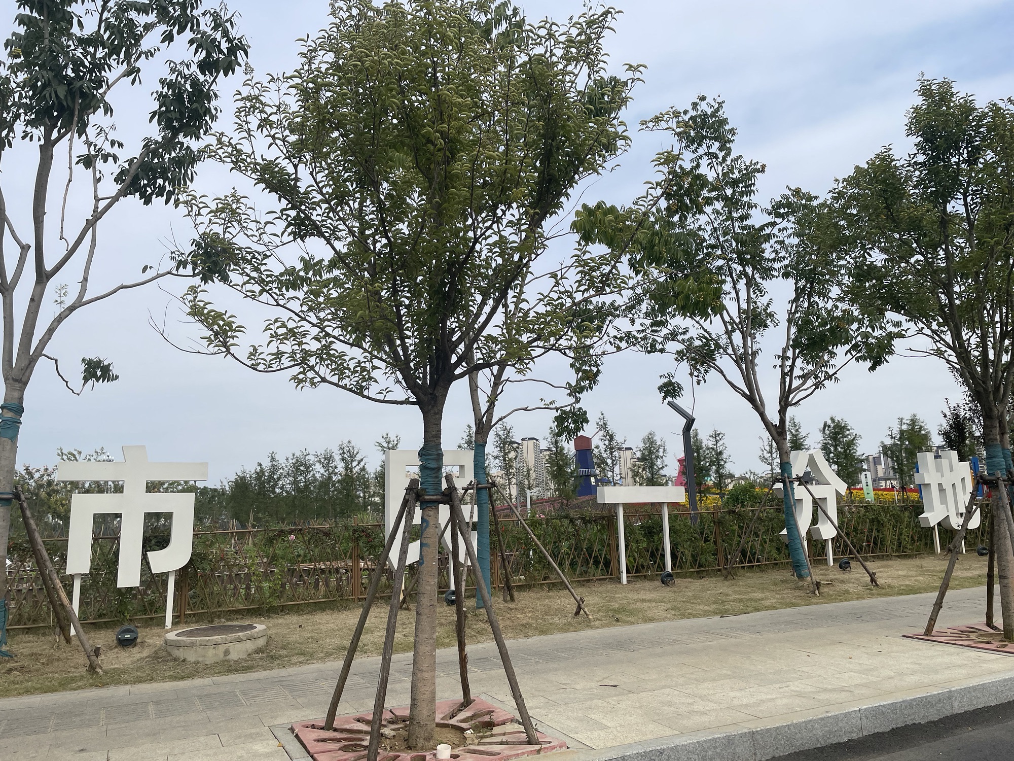 派园旅行图片 3
