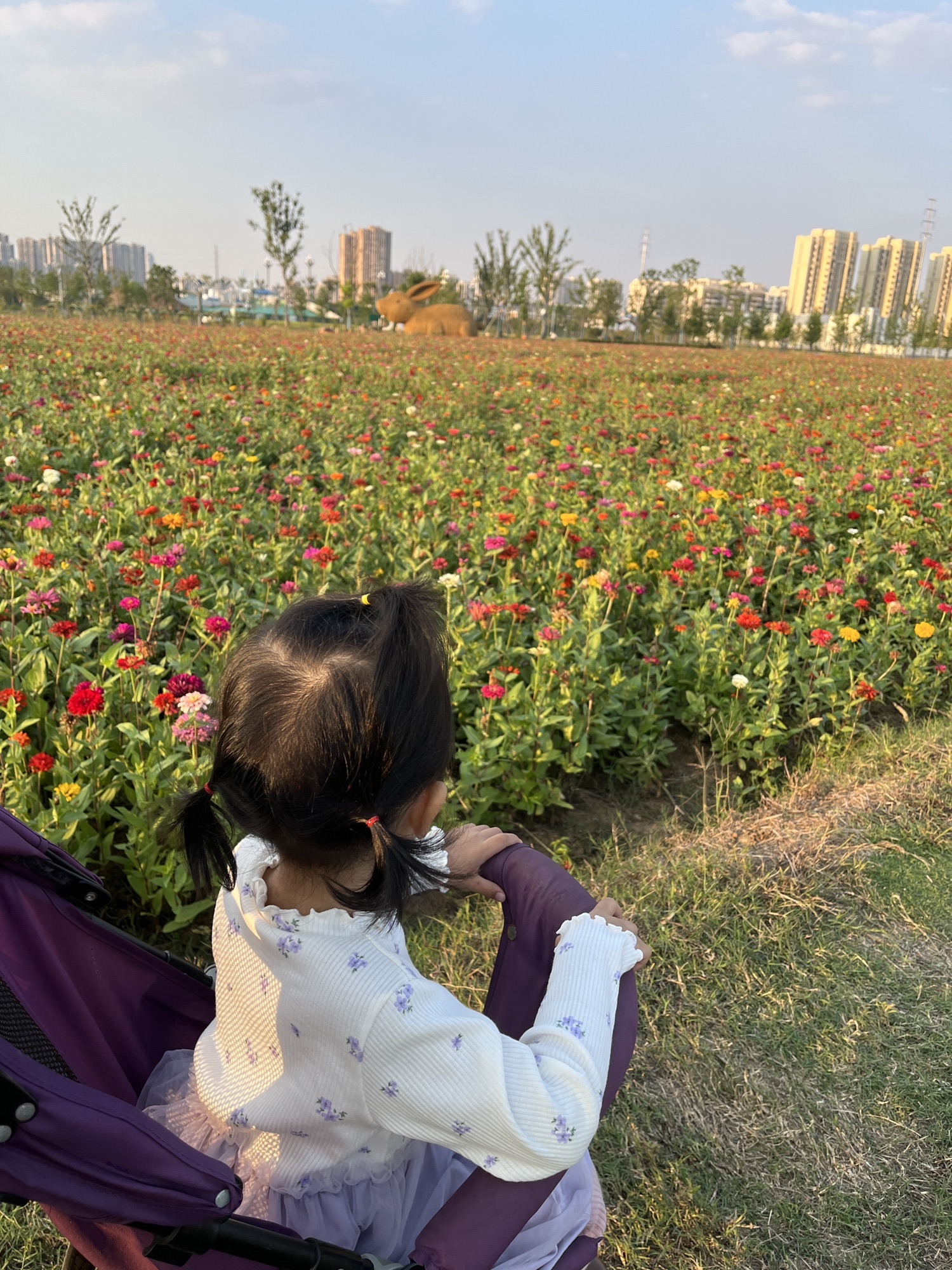 派园旅行图片 3
