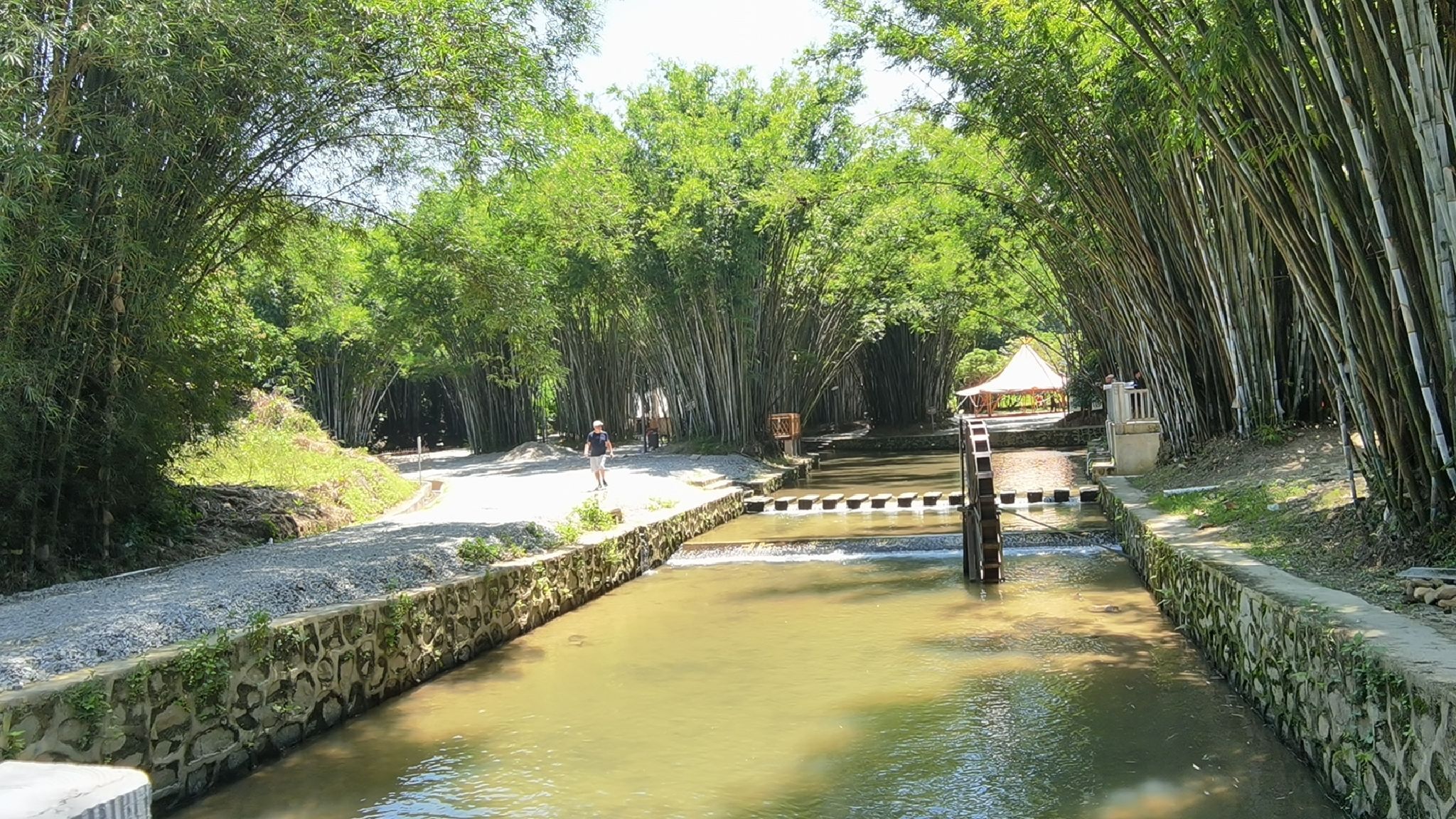 北甘竹溪公园旅行图片 2