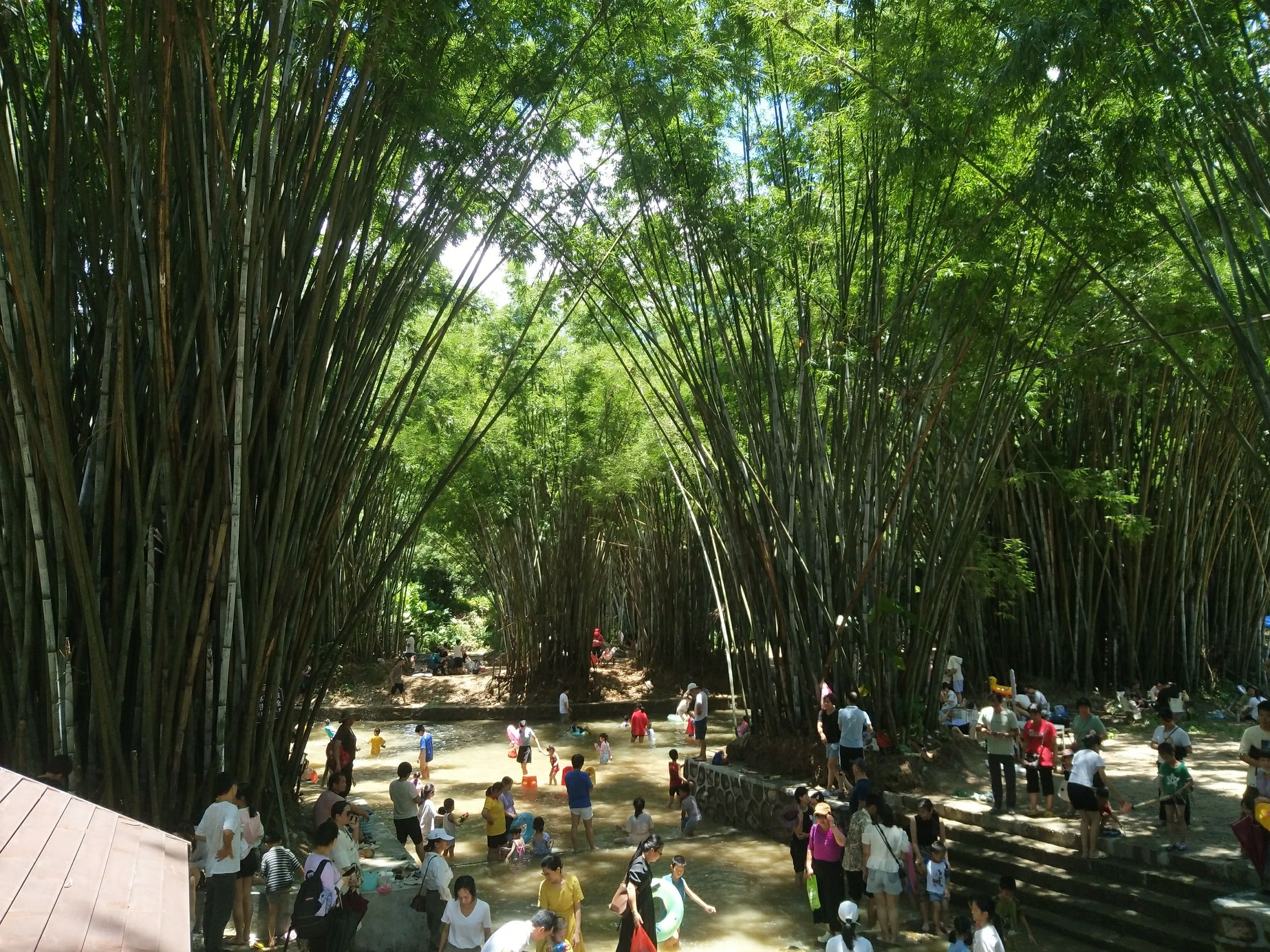 北甘竹溪公园旅行图片 3