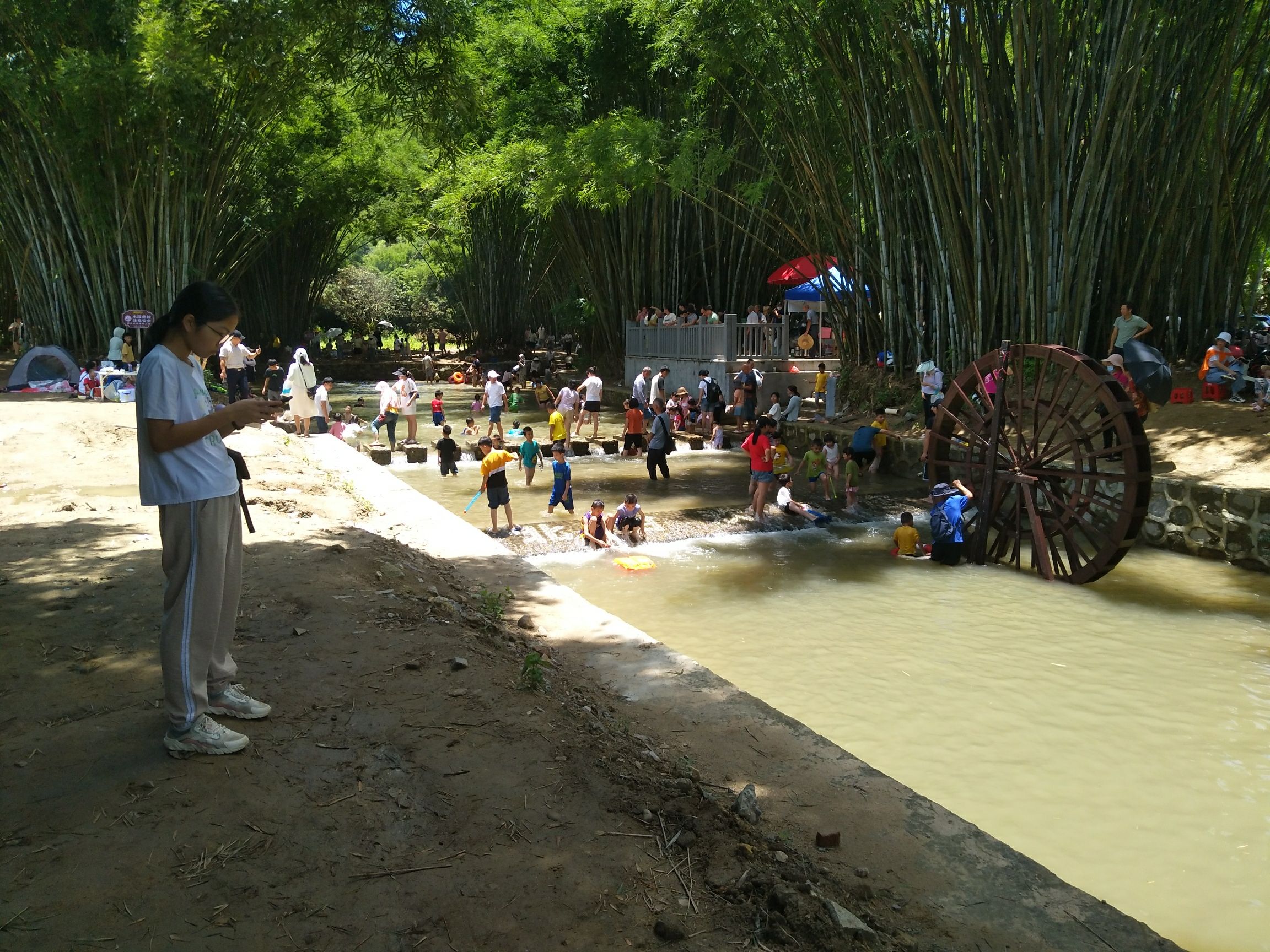 北甘竹溪公园旅行图片 1