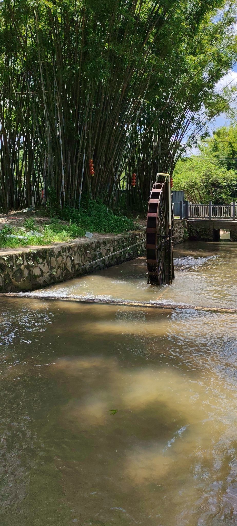 北甘竹溪公园旅行图片 3