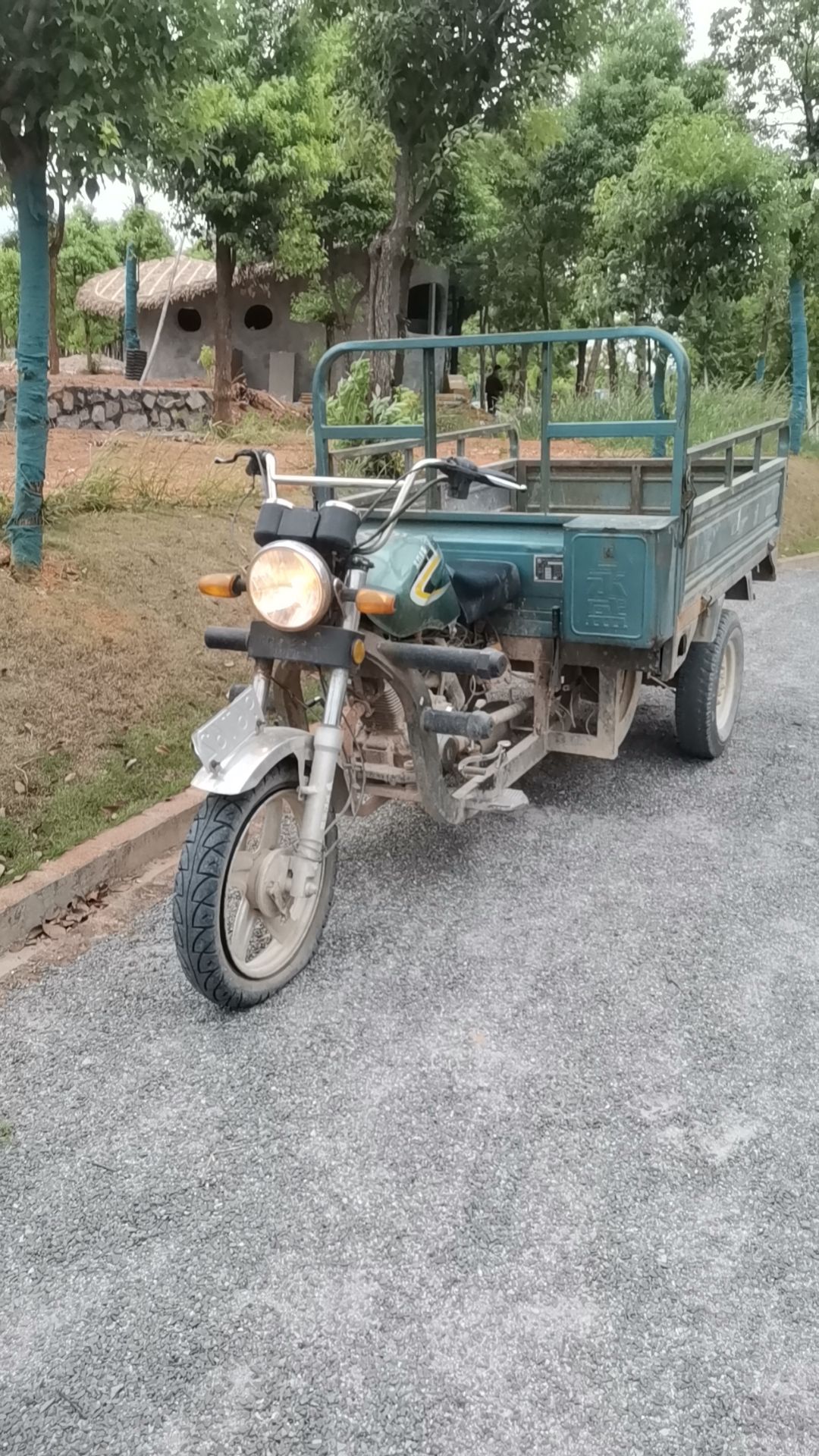 乔治棕榈湾旅行图片 3