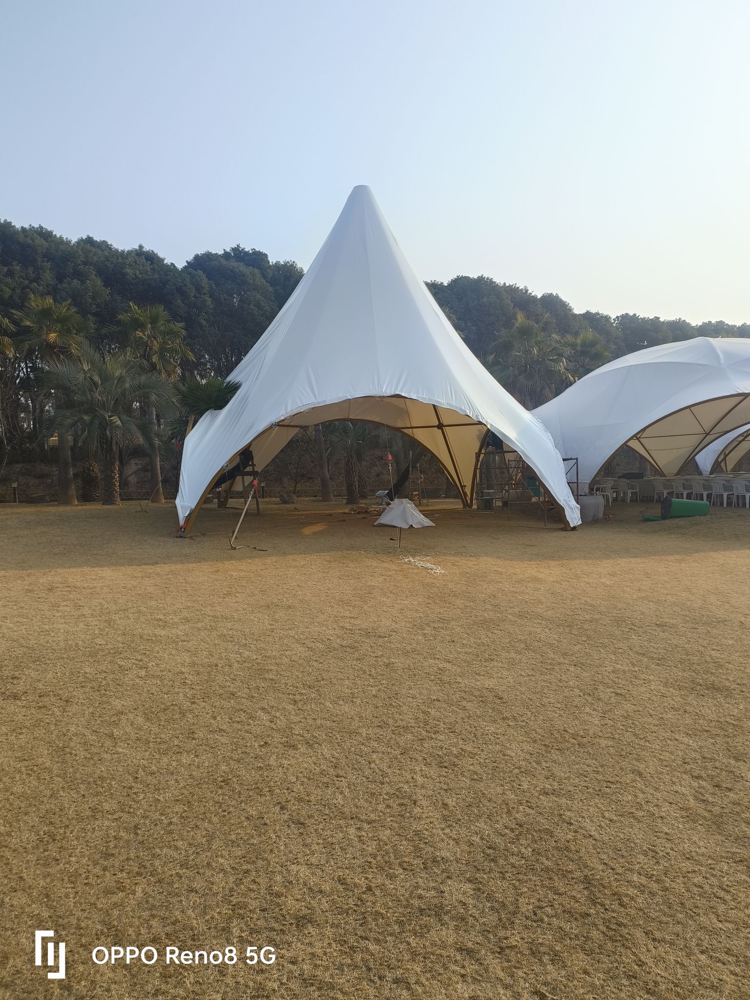 乔治棕榈湾旅行图片 1
