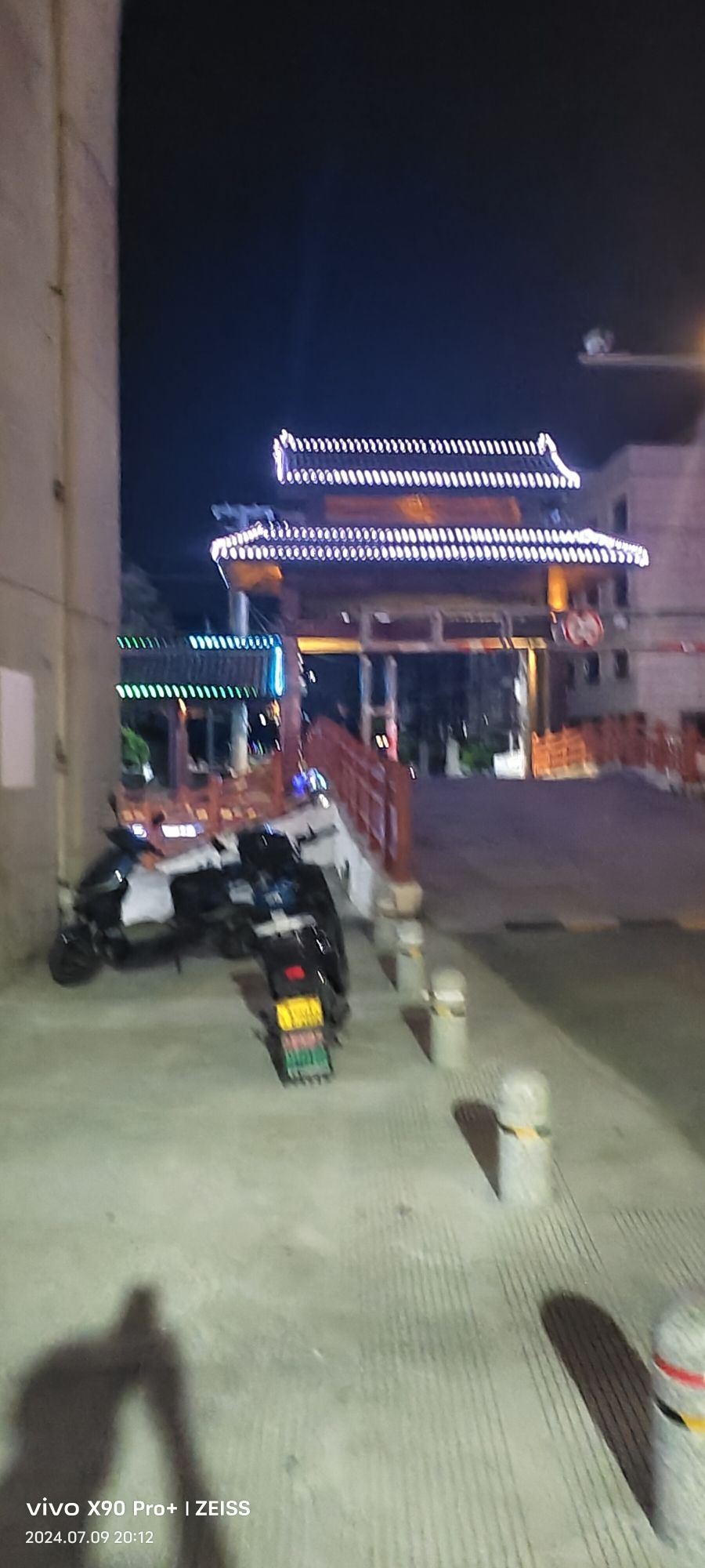 桥伍荷花园旅行图片 3